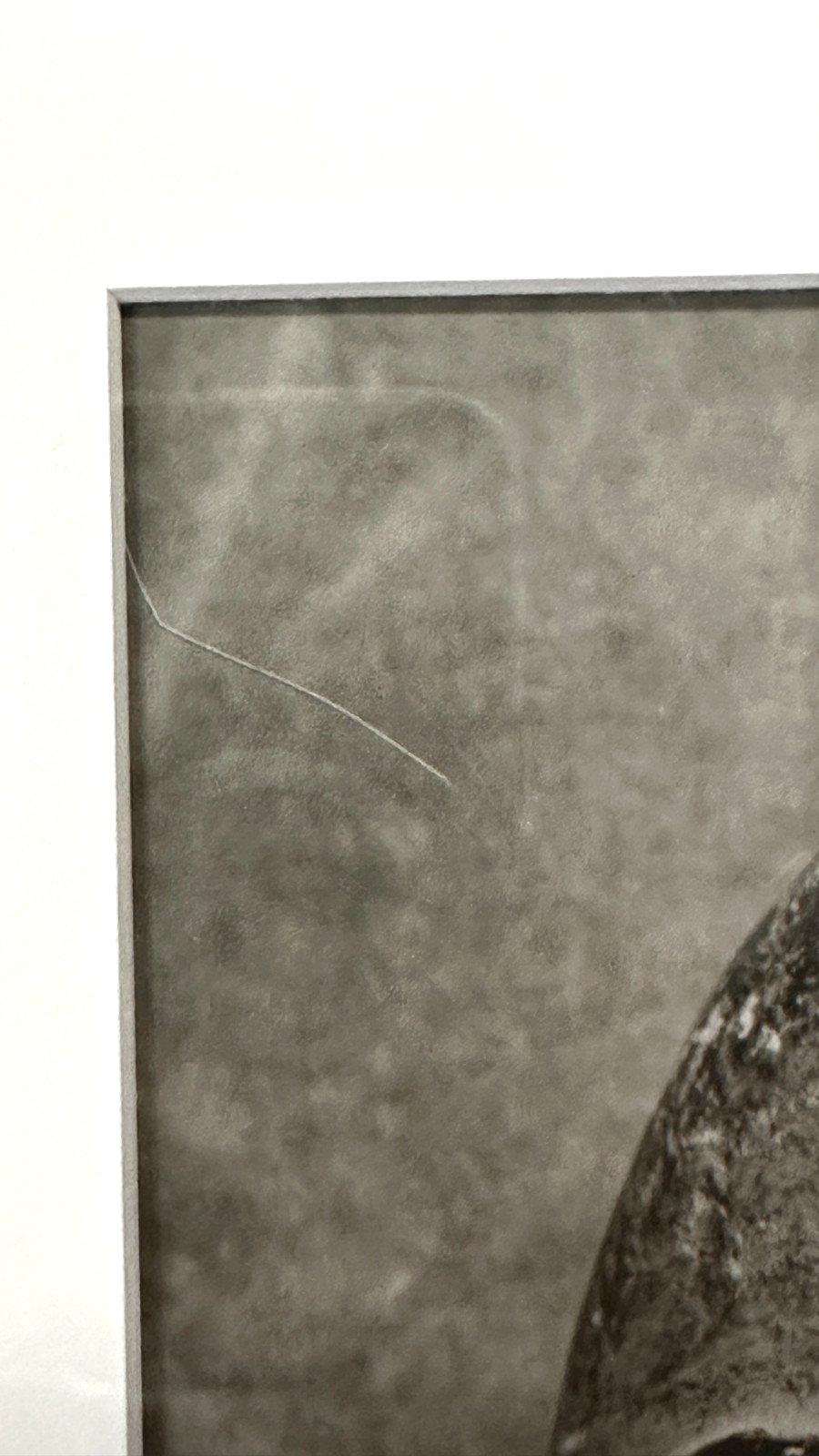 Abi Shek – Linolschnitt - „Delfine/Wale“ - signiert & nummeriert 49/55, gerahmt5