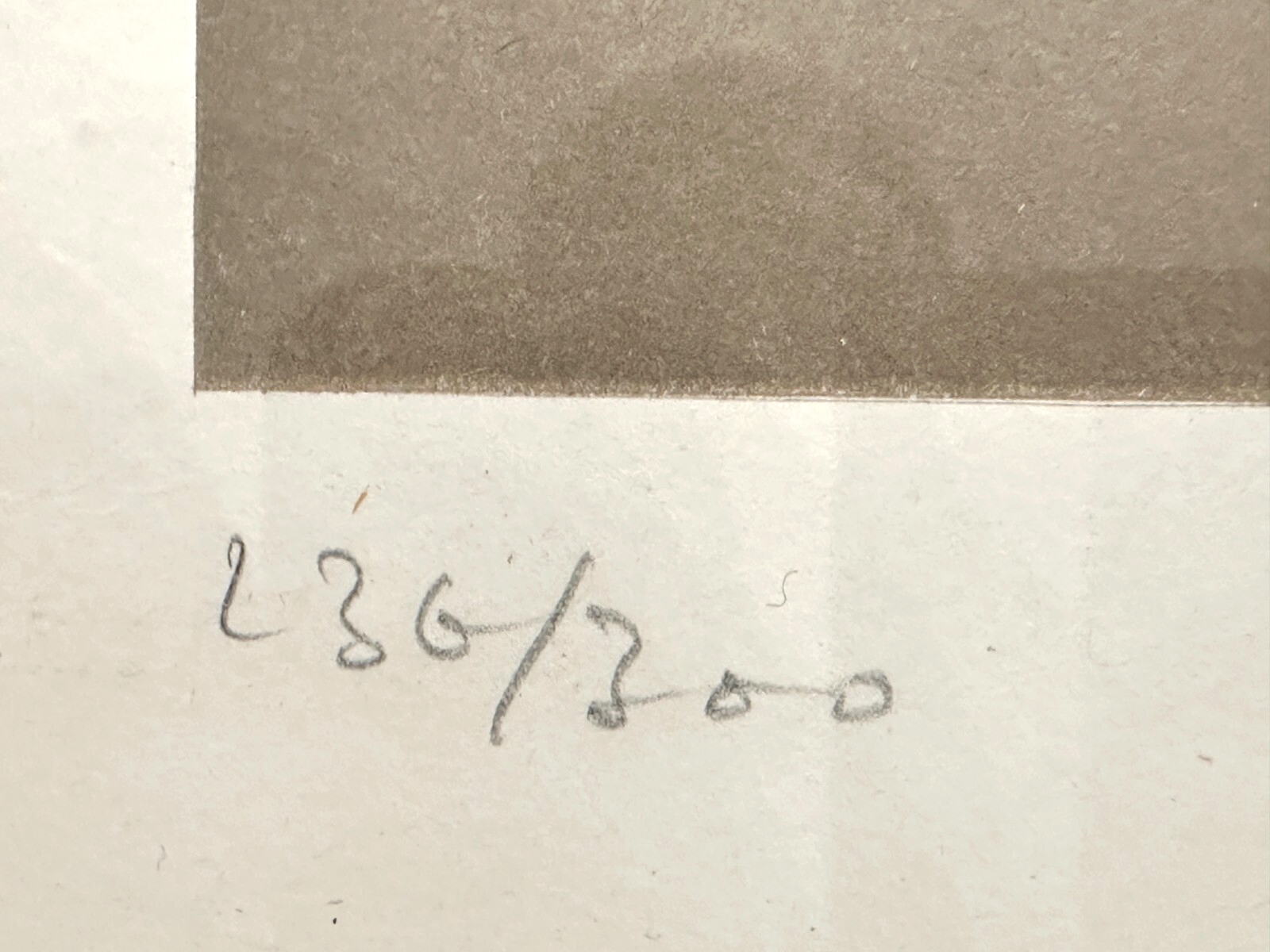 45858855