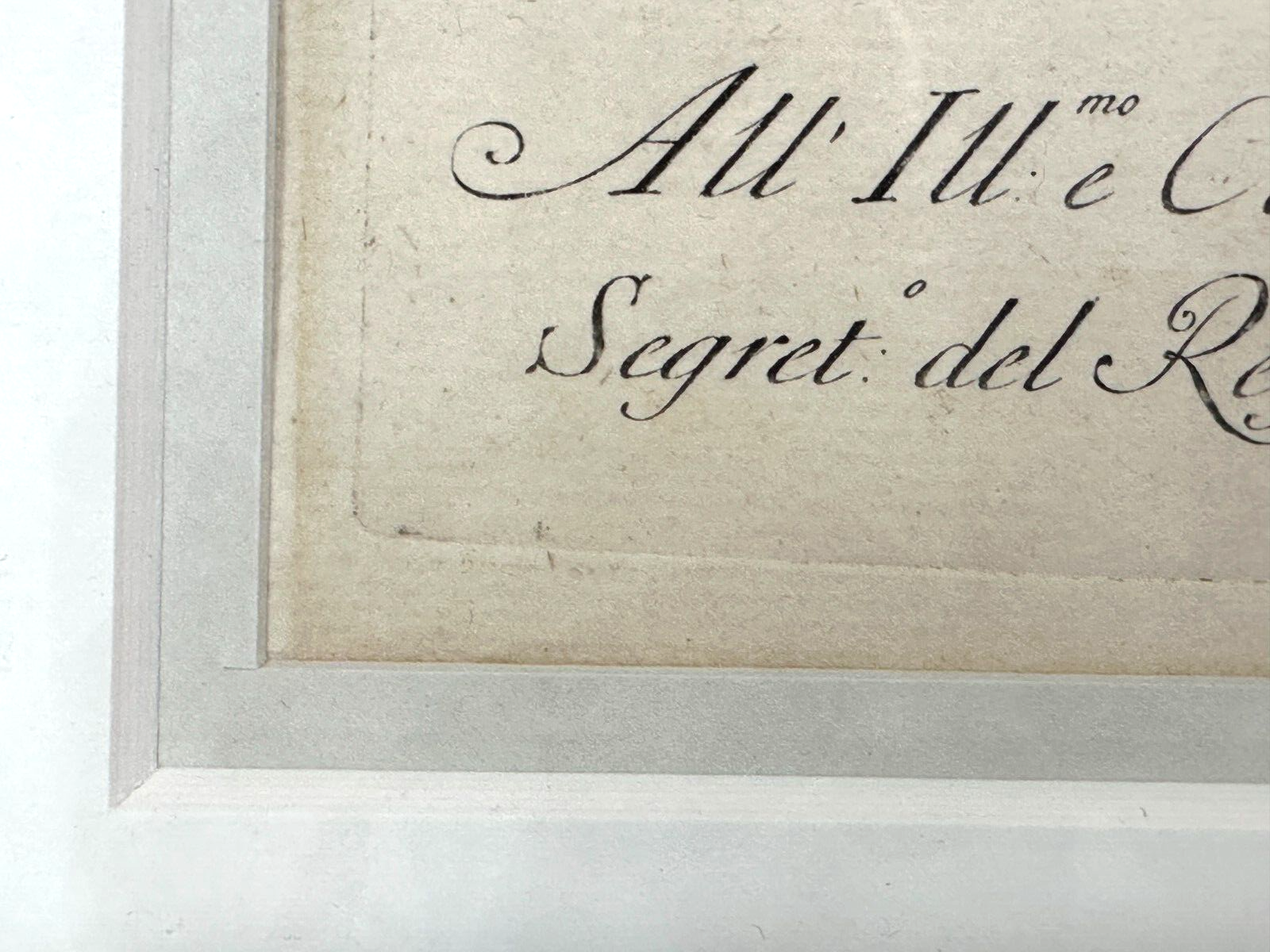 Giuseppe Vanni - Florenz 1767 - Schwarzer Adler kolorierte Radierung - 3. Tafel9