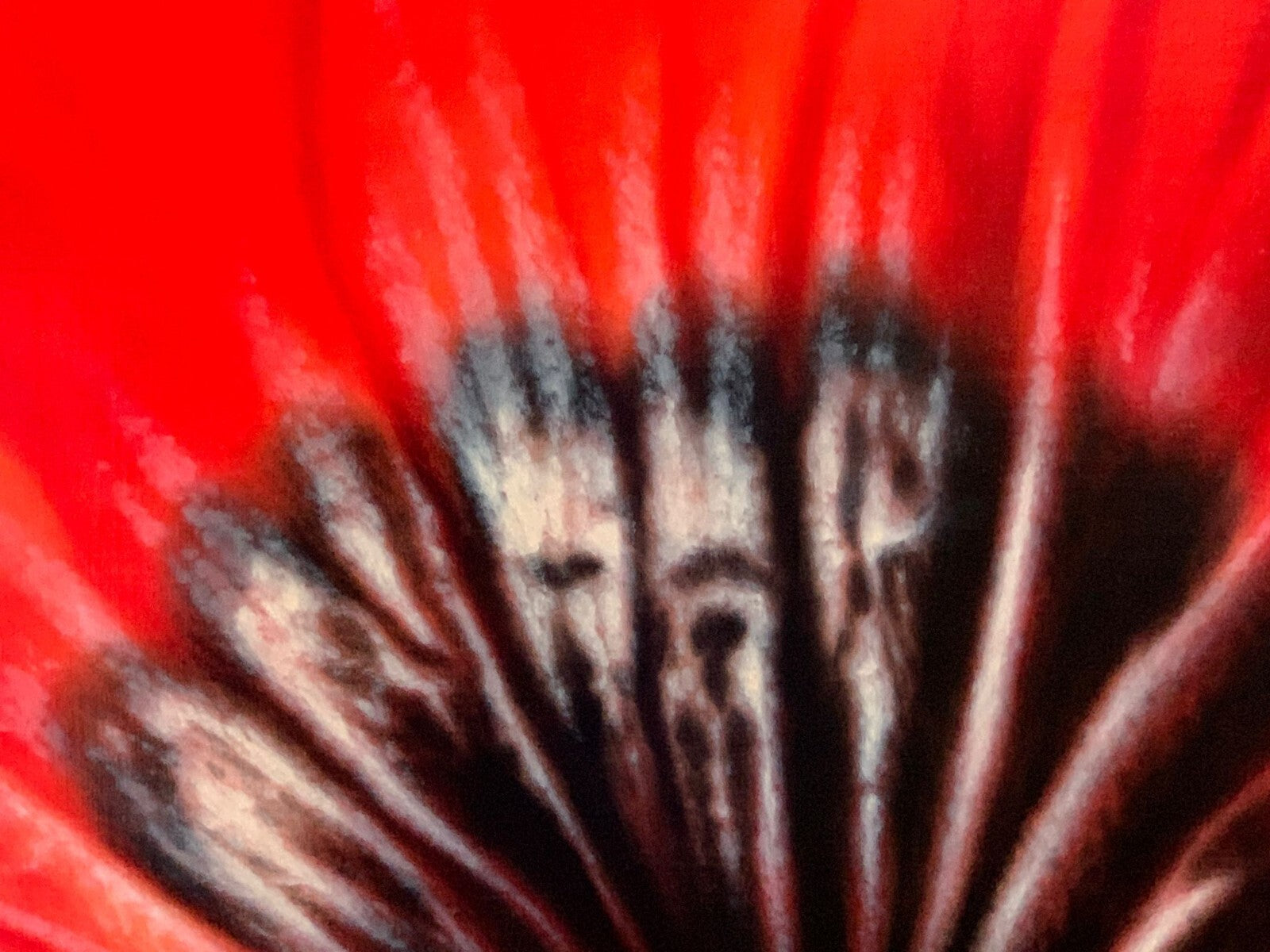 Carlo Ferrari - XL Öl auf Leinwand - Composizione in Rosso - signiert9