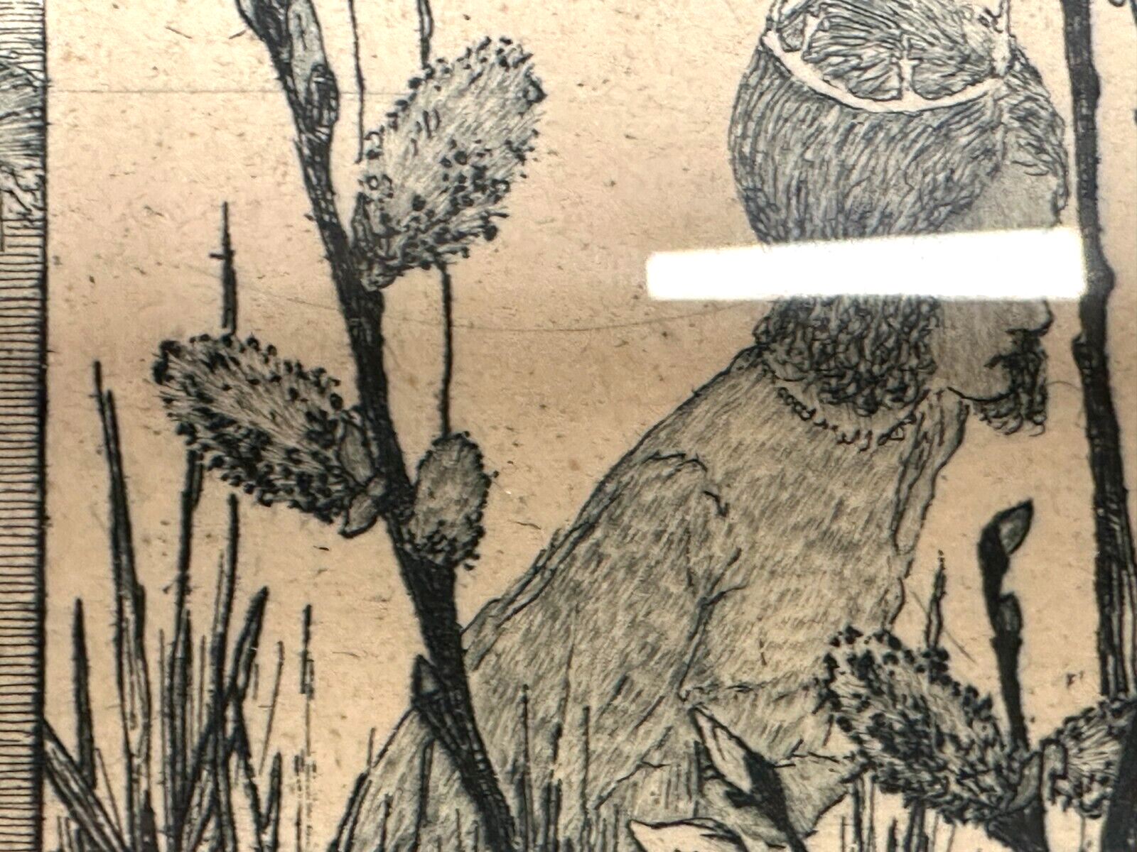 Heinrich Vogeler 1872-1942 - Radierung - Froschbraut - 1899 Jugendstil - gerahmt11