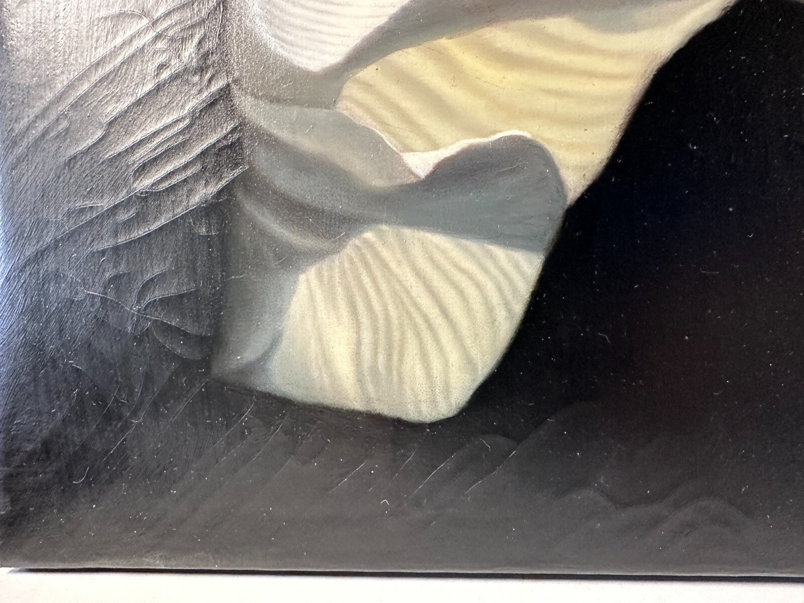 45858391