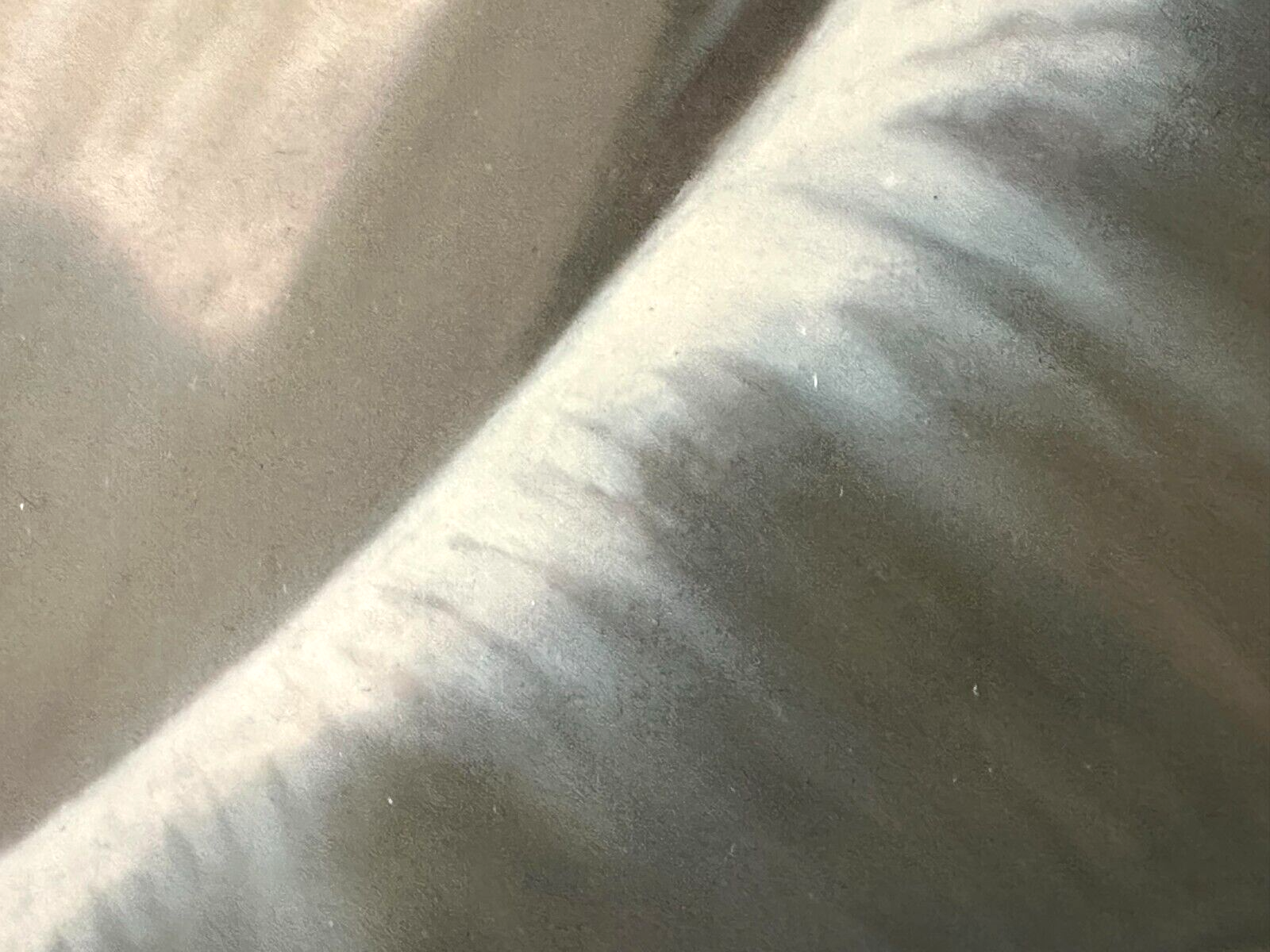 45858430