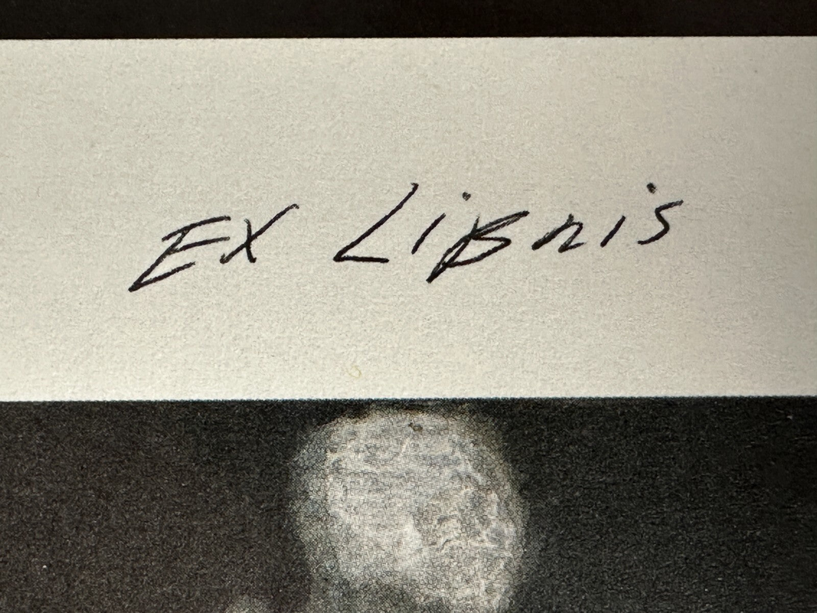 Luc Tuymans - Offset Print - 'Ex Libris' - nummeriert 52/200 signiert gerahmt2