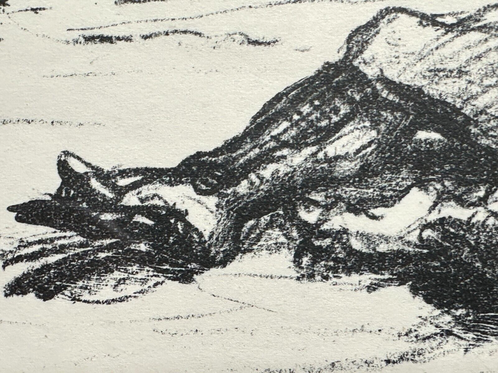 Max Slevogt - 1868-1932 - Lithographie - Original Abzug für Beilage - 'Hektor'4