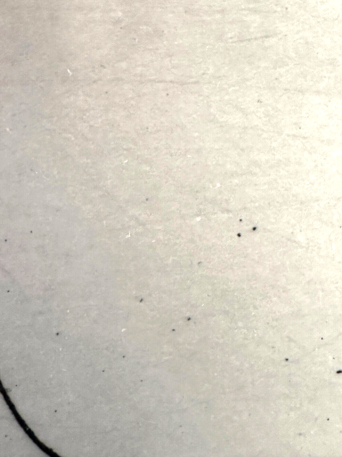 45859124