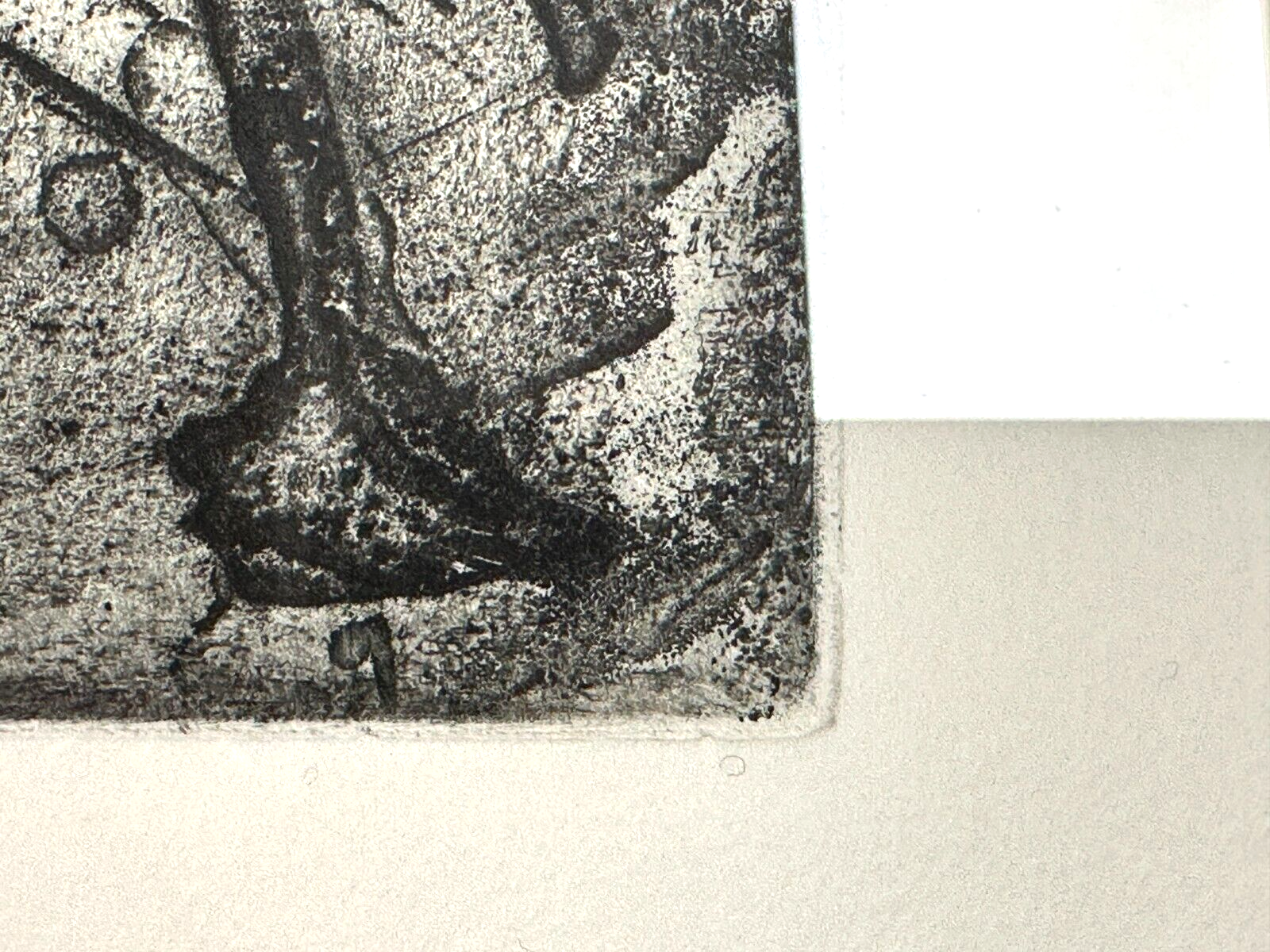 Michael Morgner - Radierung Aquatinta - 'Kleine Fichte' 1989 - Sign. -10