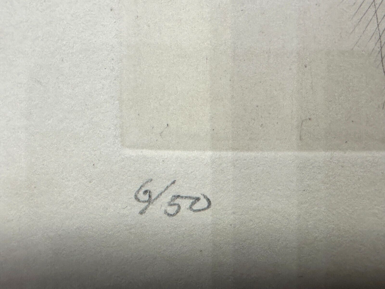 45859114