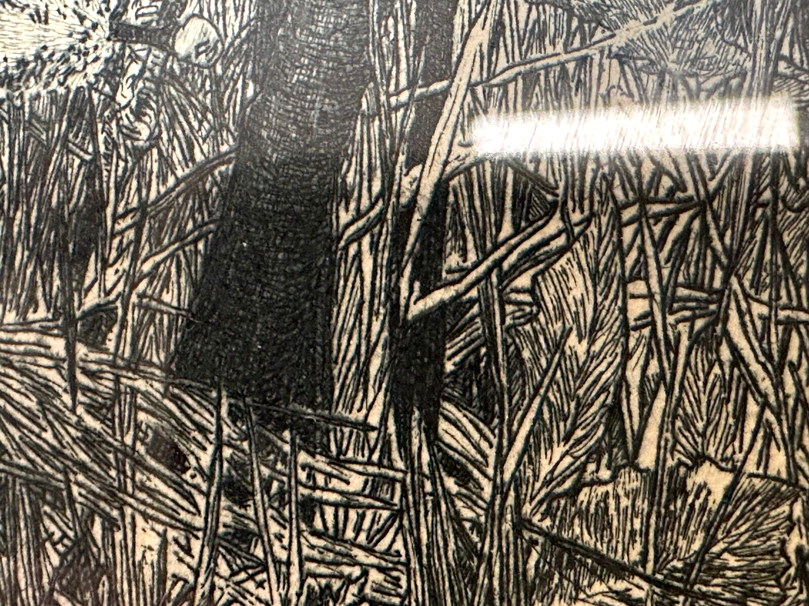 Heinrich Vogeler 1872-1942 - Radierung - Froschbraut - 1899 Jugendstil - gerahmt15