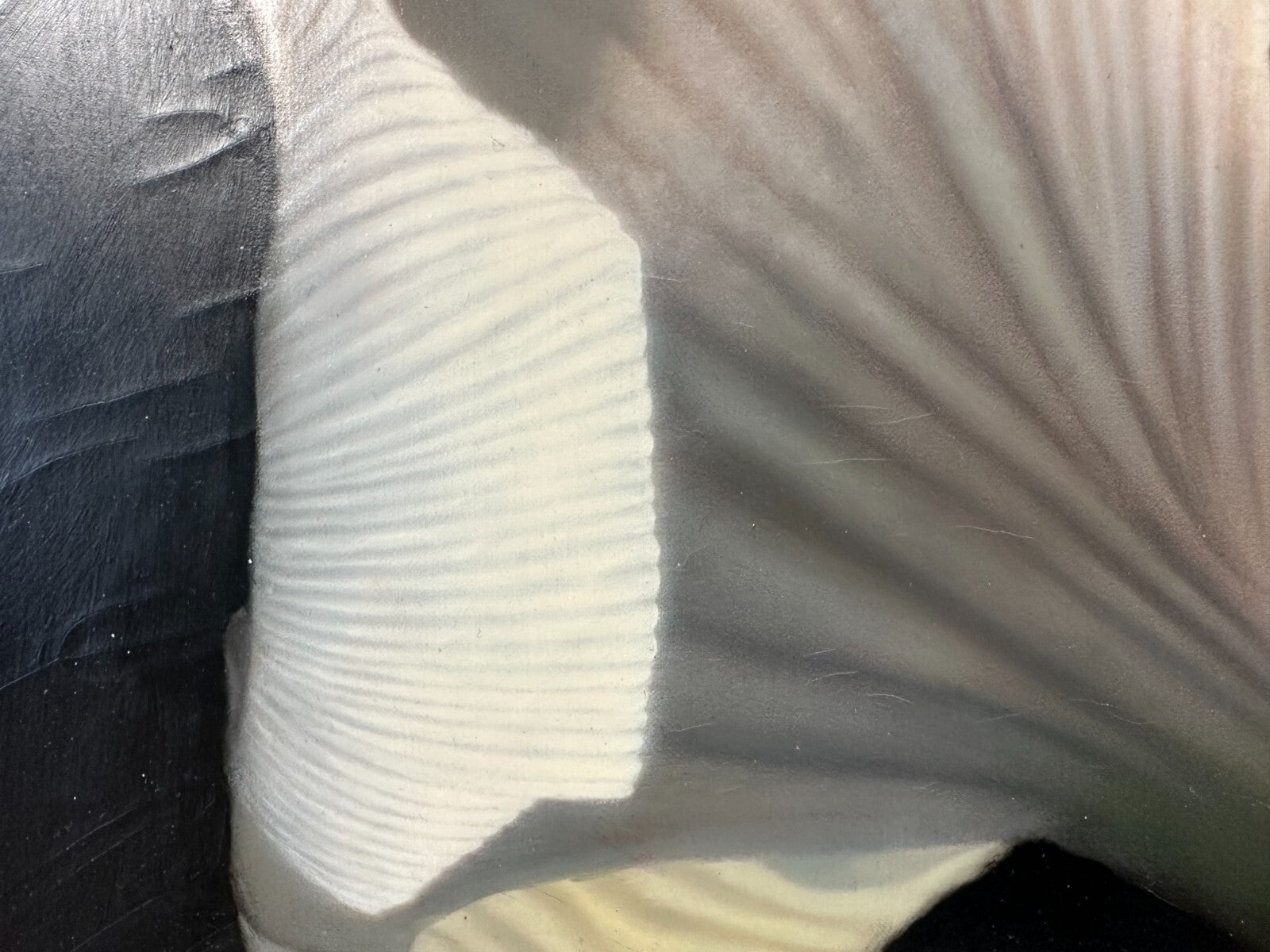 Carlo Ferrari - Öl auf Leinwand - Composizione in Bianco 2009 - signiert3