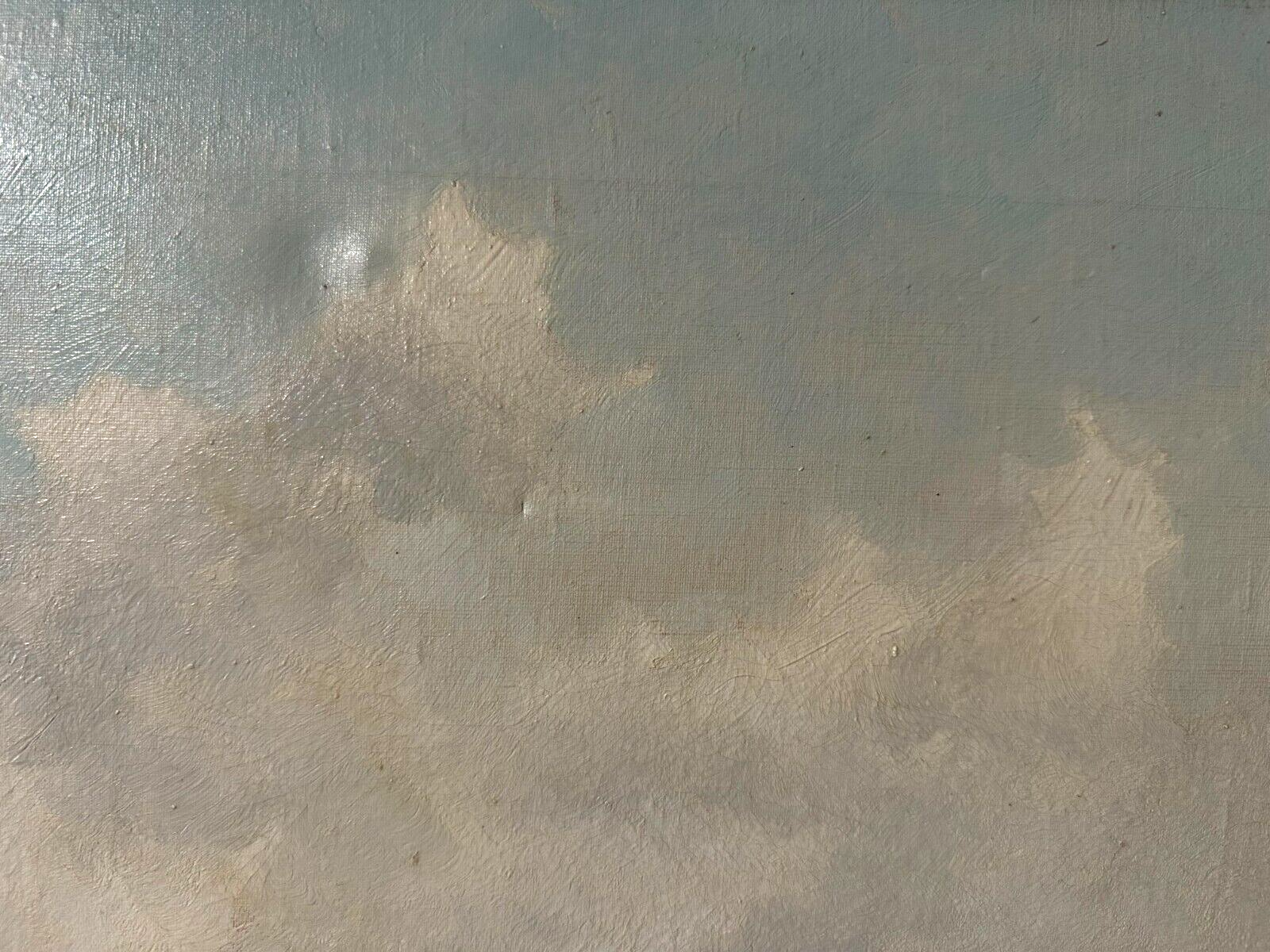 45858366