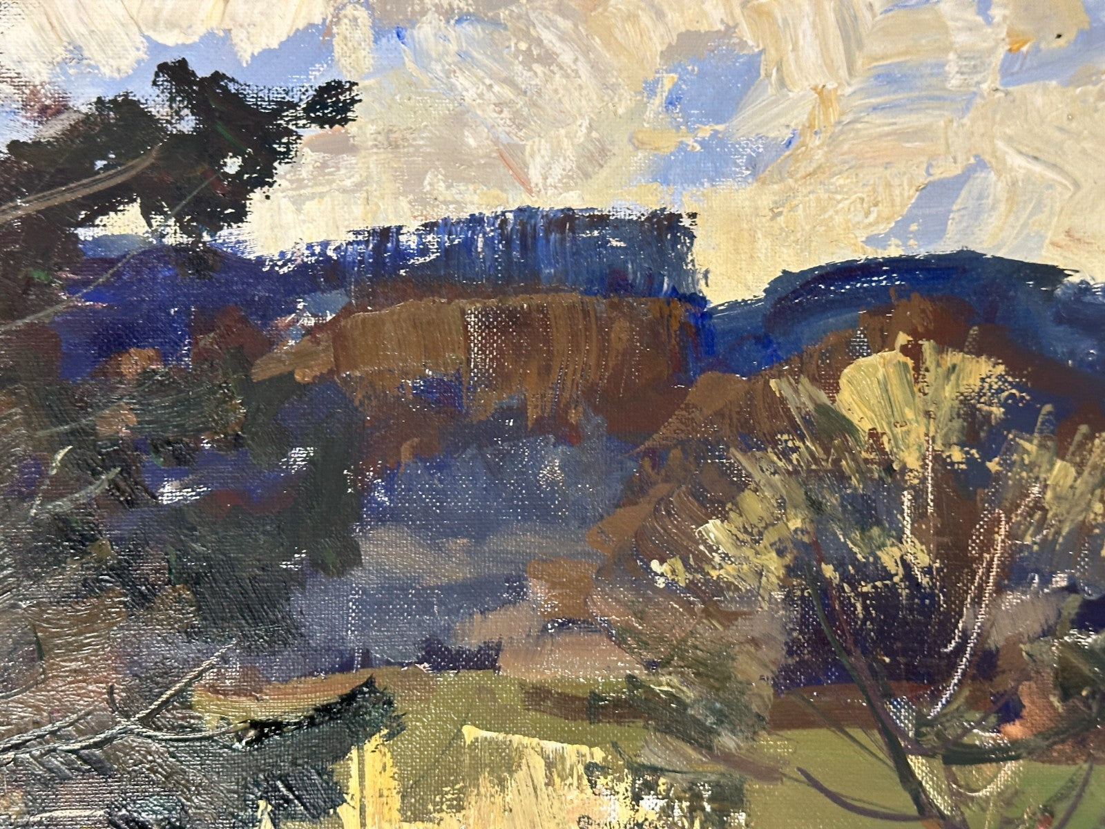 Robert Trätzl -  Altwasser bei Stegen/Ammersee - Öl auf Leinwand - signiert7