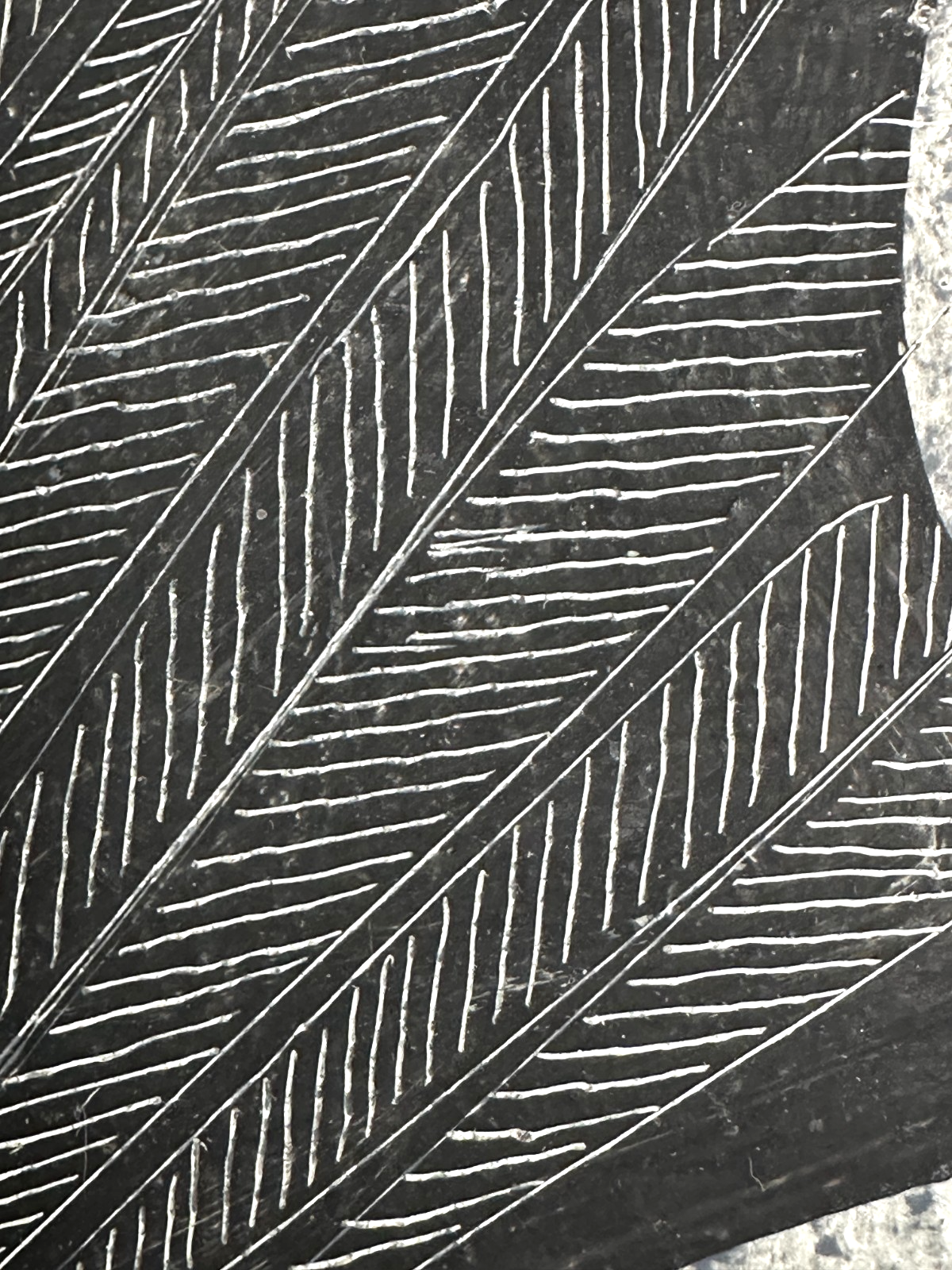 Heinz Nowag (1907–1984) - abstrakter Vogel - Öl auf Platte - 1956 - signiert6