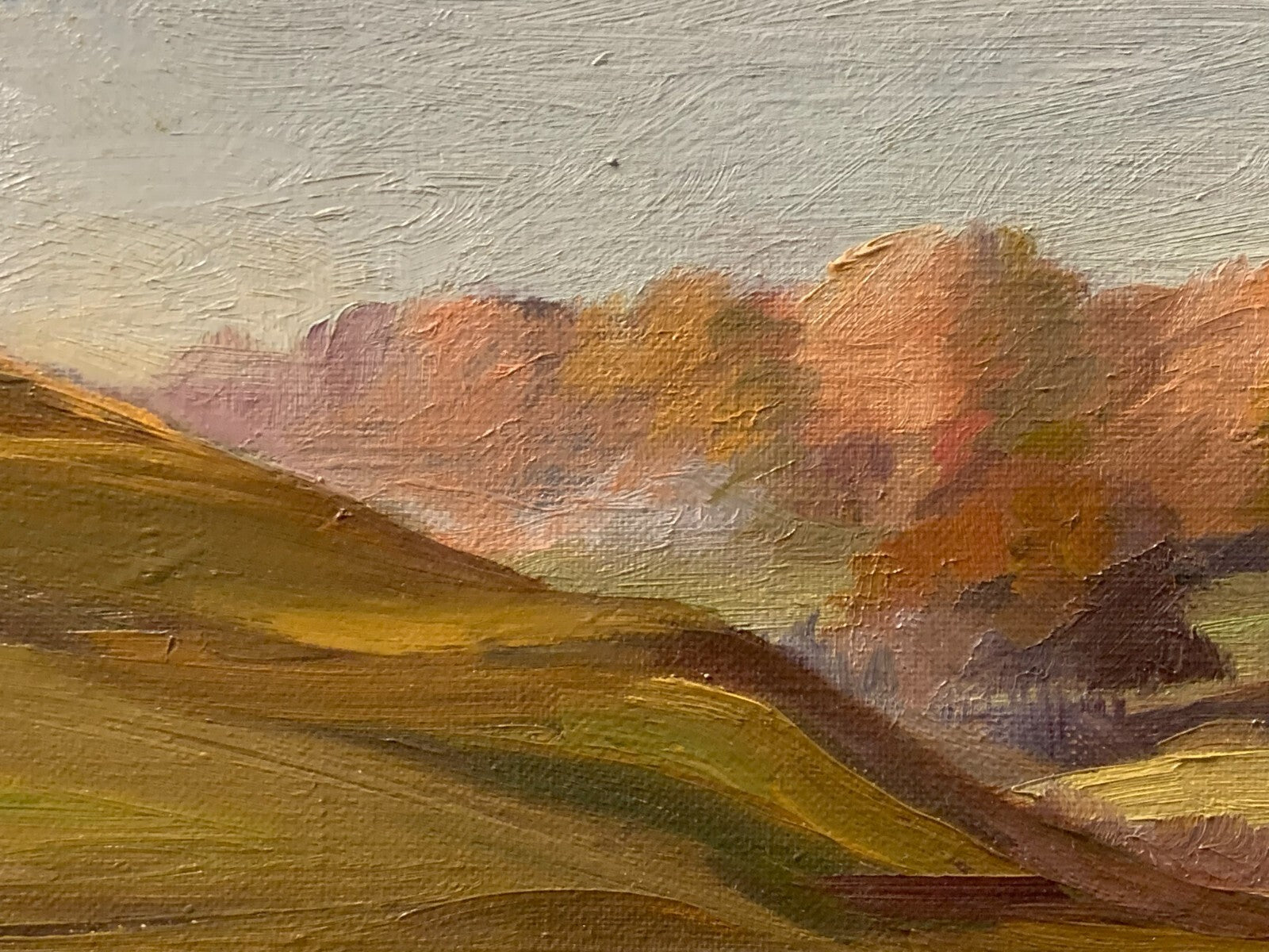 Fritz Mader 1900-1998 - Herbstlicher Hang 1955 - Öl auf LWD - gerahmt - signiert4
