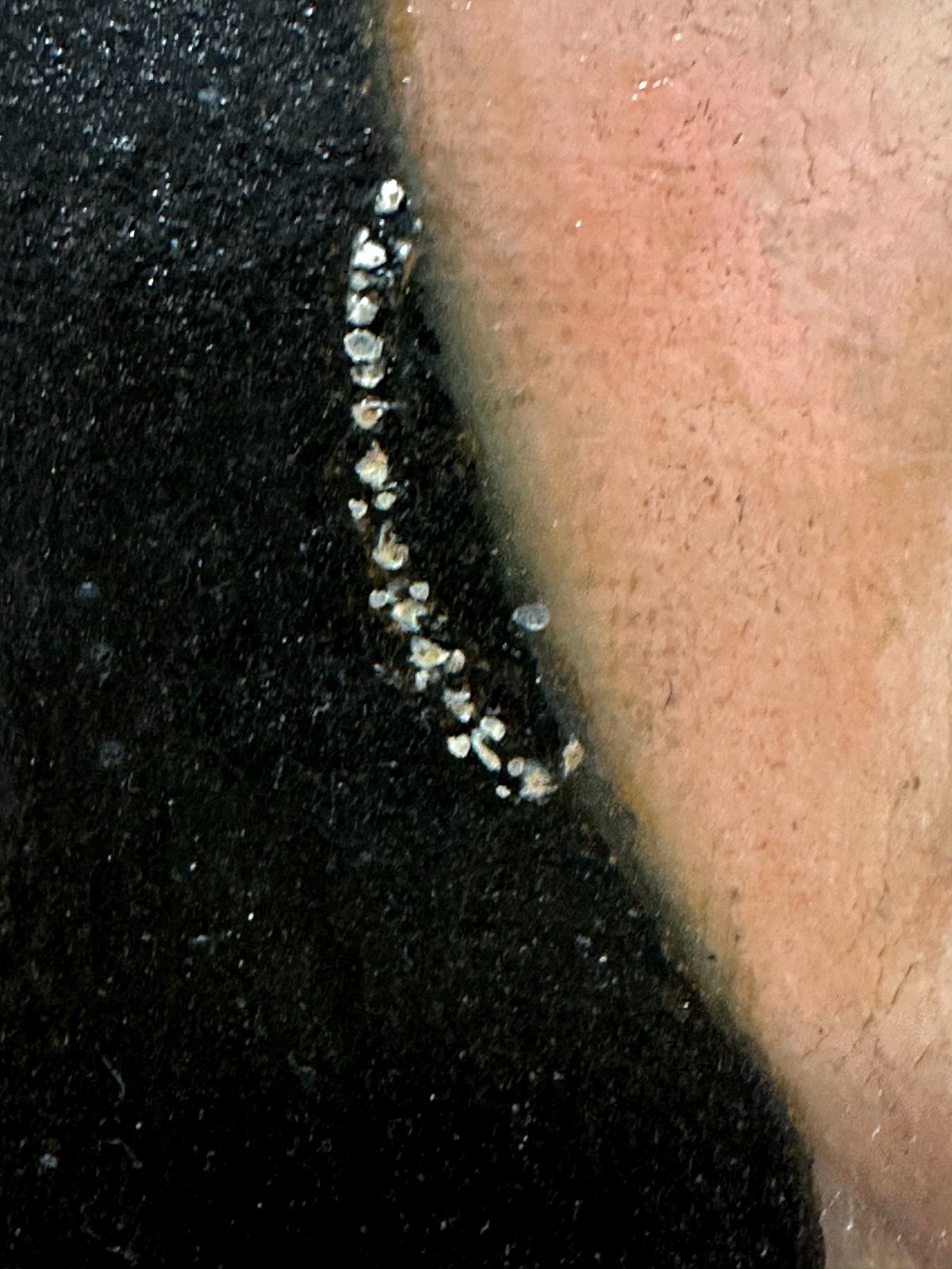 Charaktervolles Damenporträt frühes 19. Jh. – Öl/Lw. - fein gemalt - Goldrahmen8