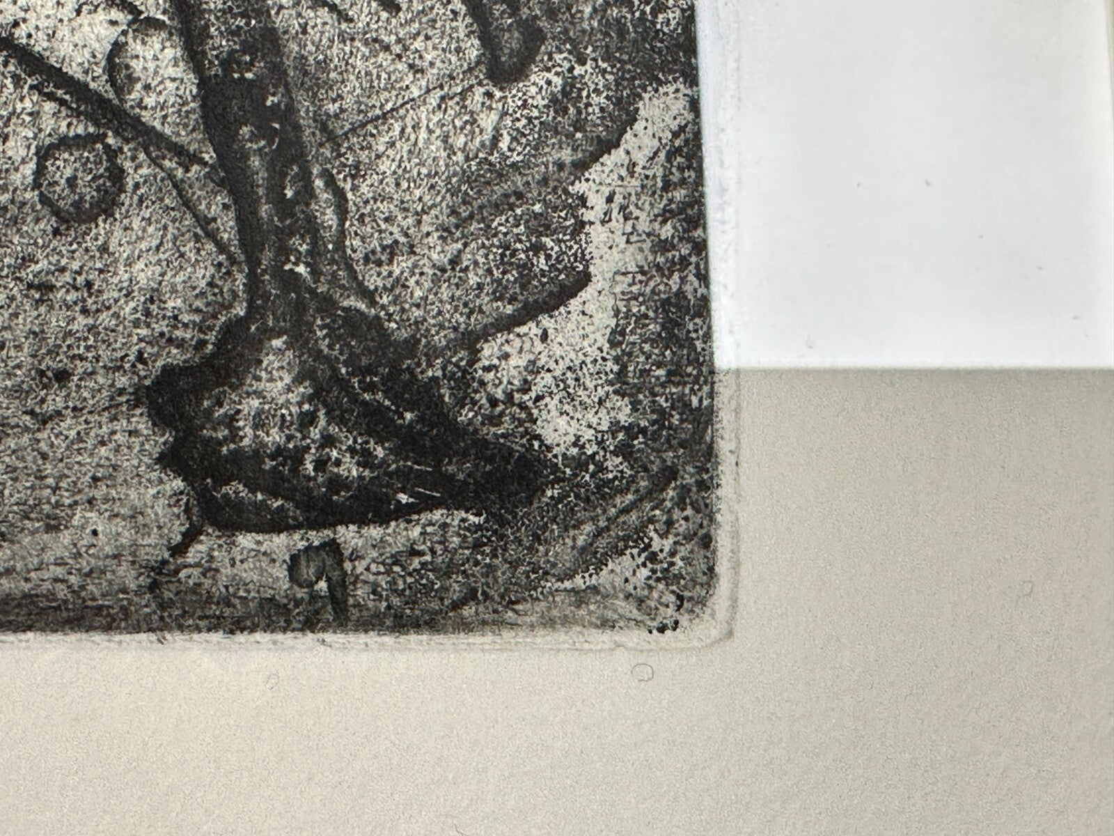 Michael Morgner - Radierung Aquatinta - 'Kleine Fichte' 1989 - Sign. -9
