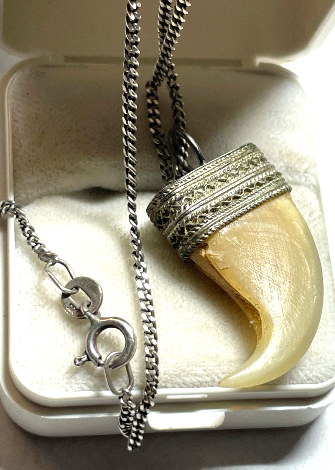 Vintage Raubvogel Kralle Tierkralle Talisman an 835 Silber Panzerkette unisex1