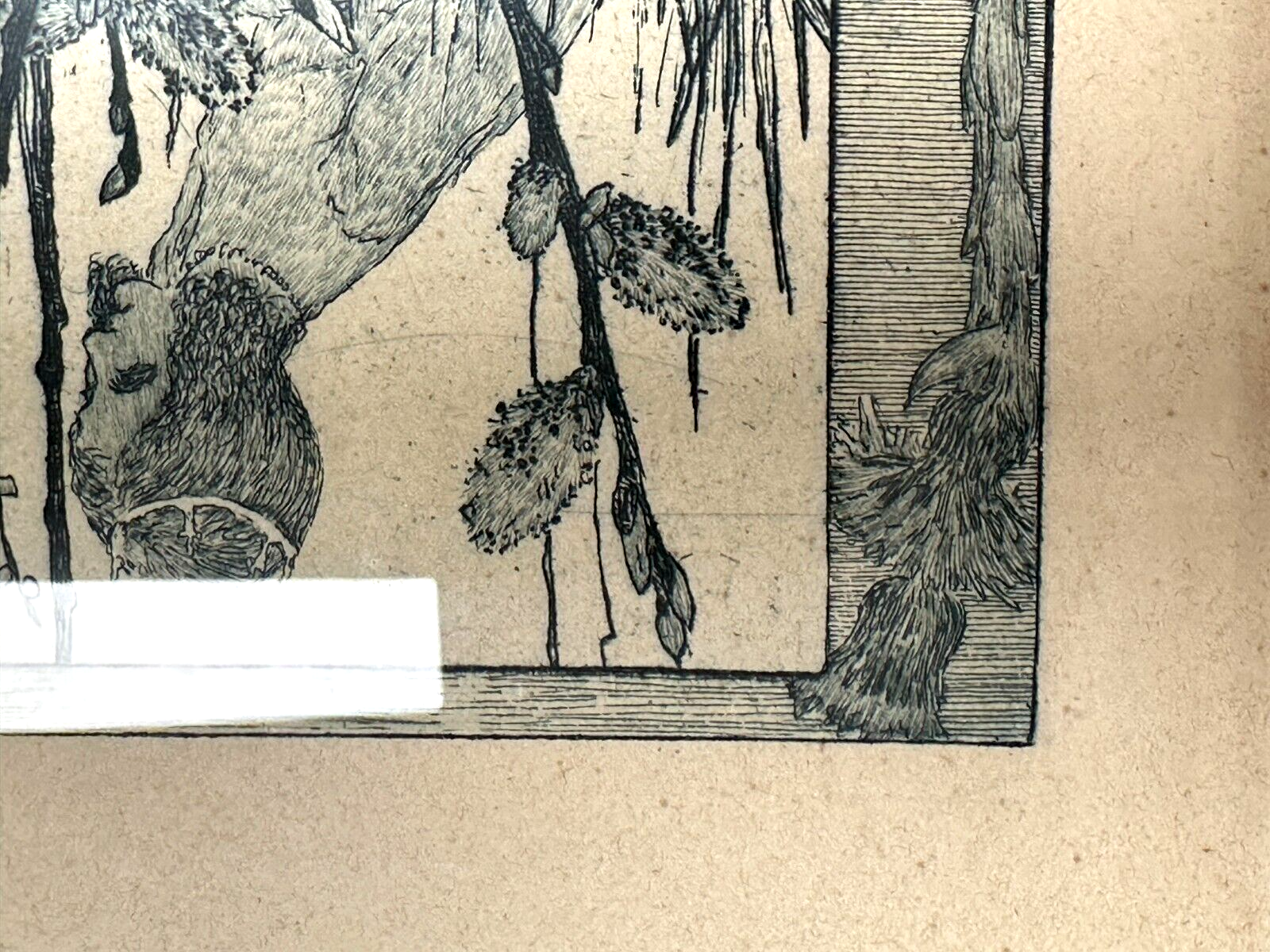 Heinrich Vogeler 1872-1942 - Radierung - Froschbraut - 1899 Jugendstil - gerahmt2