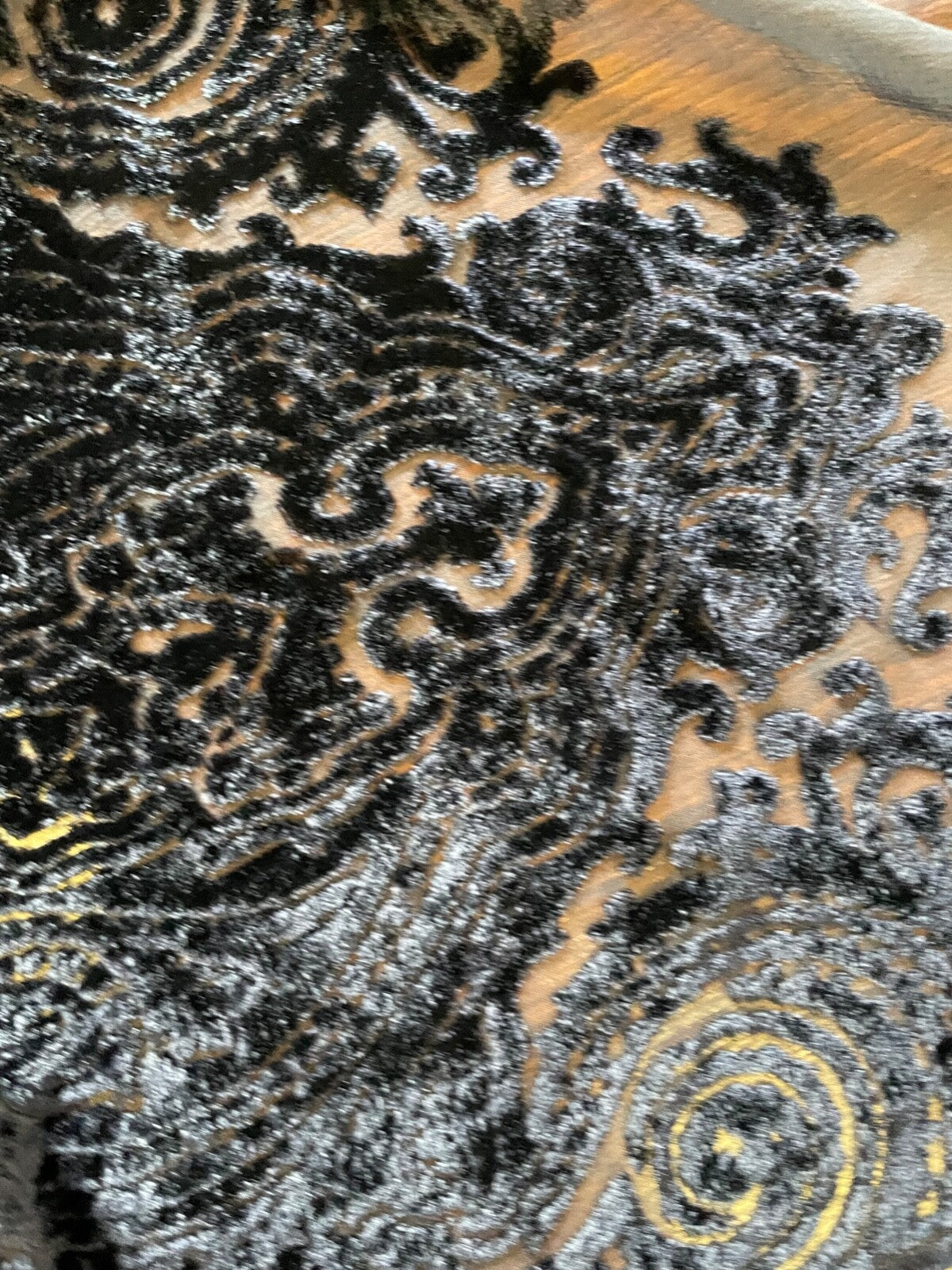 45859534