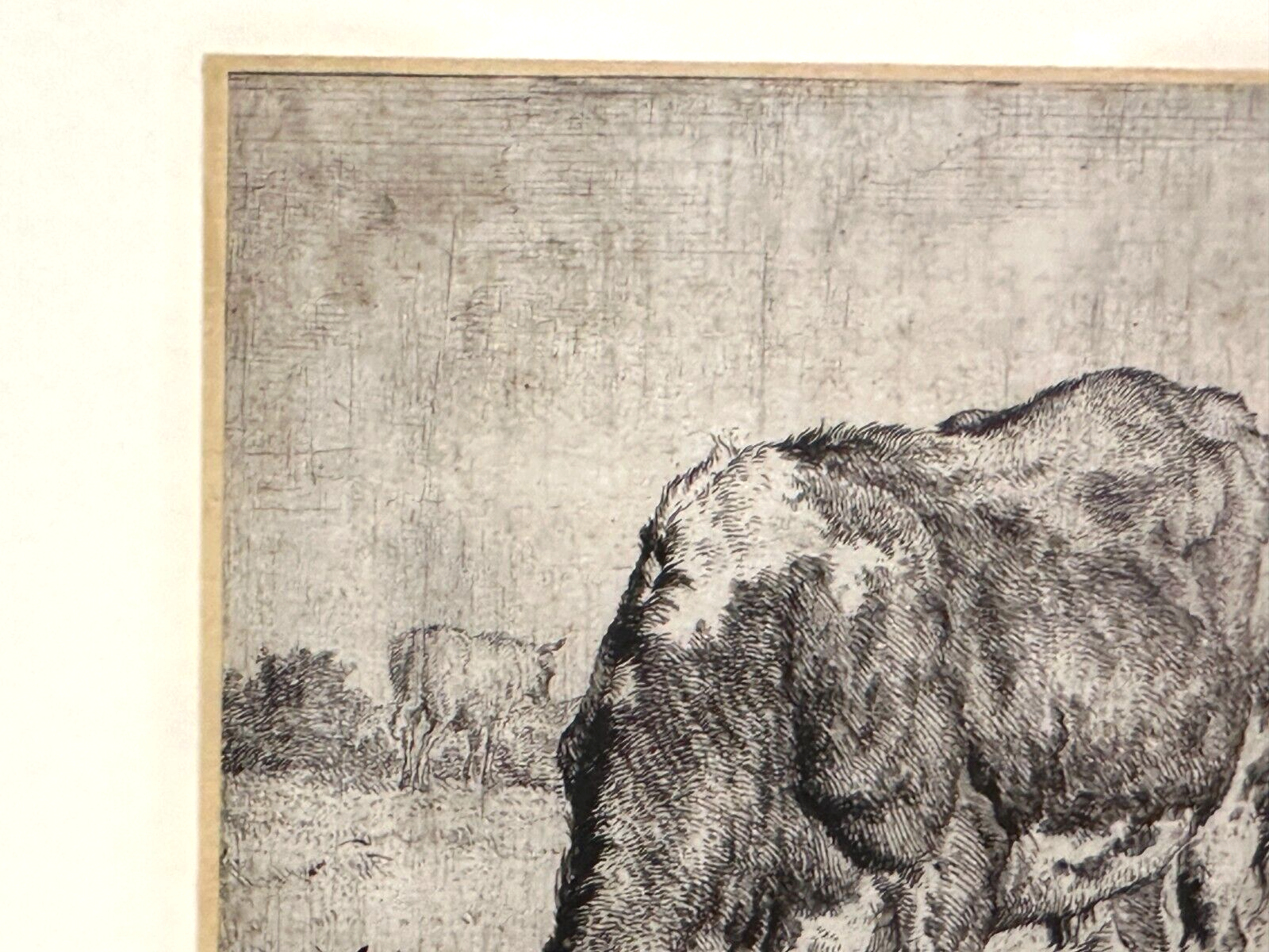 Adriaen van de Velden - Radierung - Gescheckter Bulle mit Schafen 1670 - gerahmt2