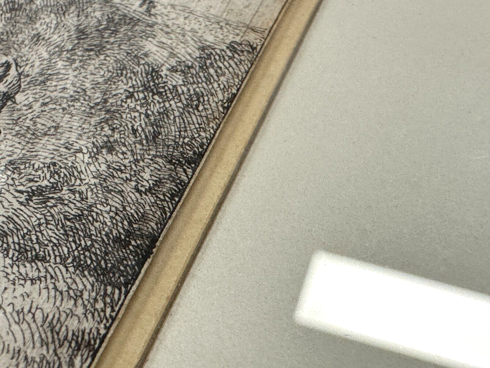 45859026