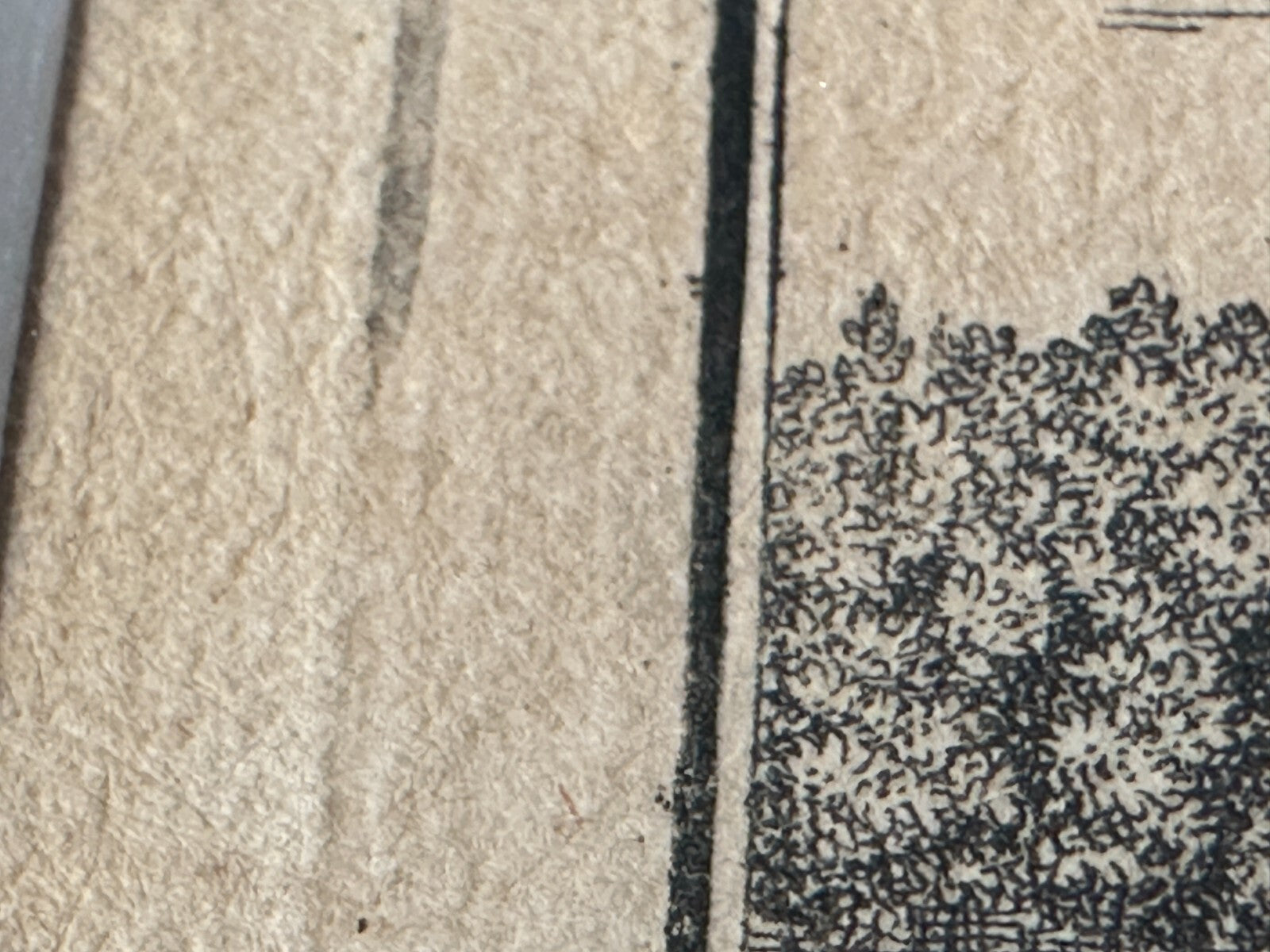 Behringersdorf Tucherschen - Kupferstich 1759 - gerahmt Passepartout hinter Glas7
