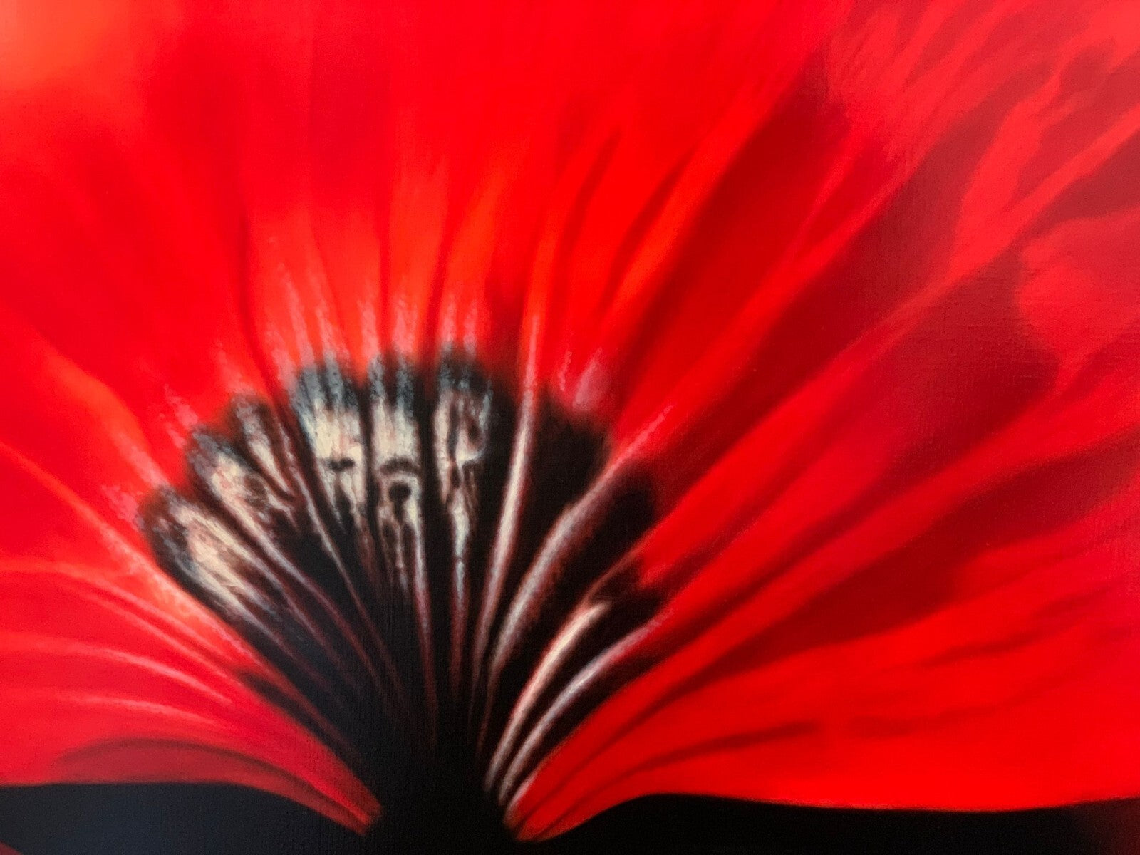 Carlo Ferrari - XL Öl auf Leinwand - Composizione in Rosso - signiert3