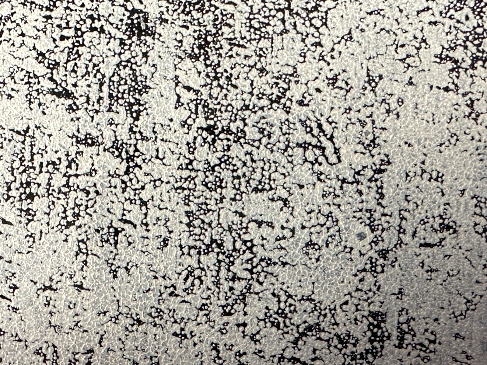Rolf Urban - Linolschnitt auf Papier - signiert datiert nummeriert - gerahmt11