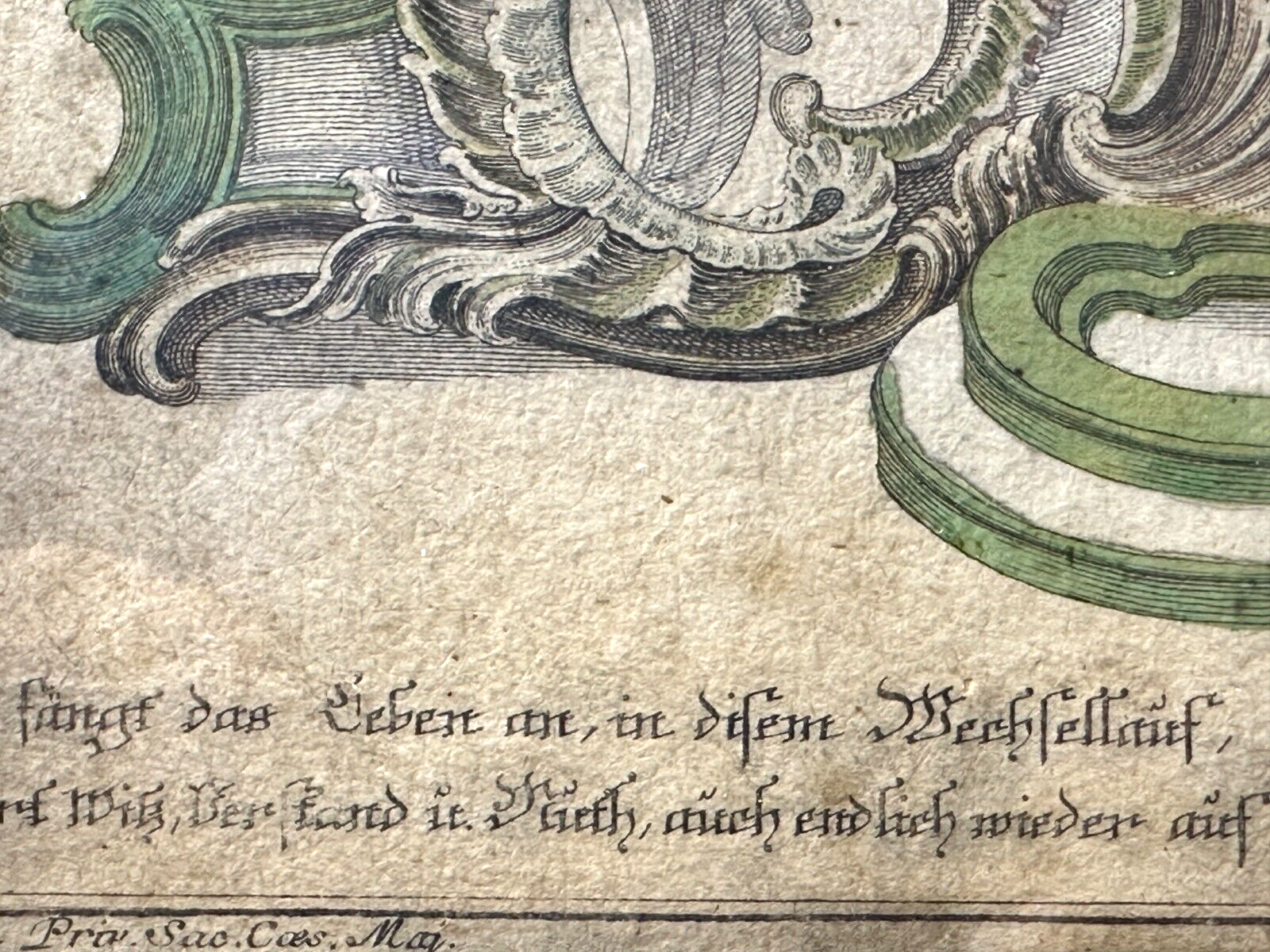 45858324