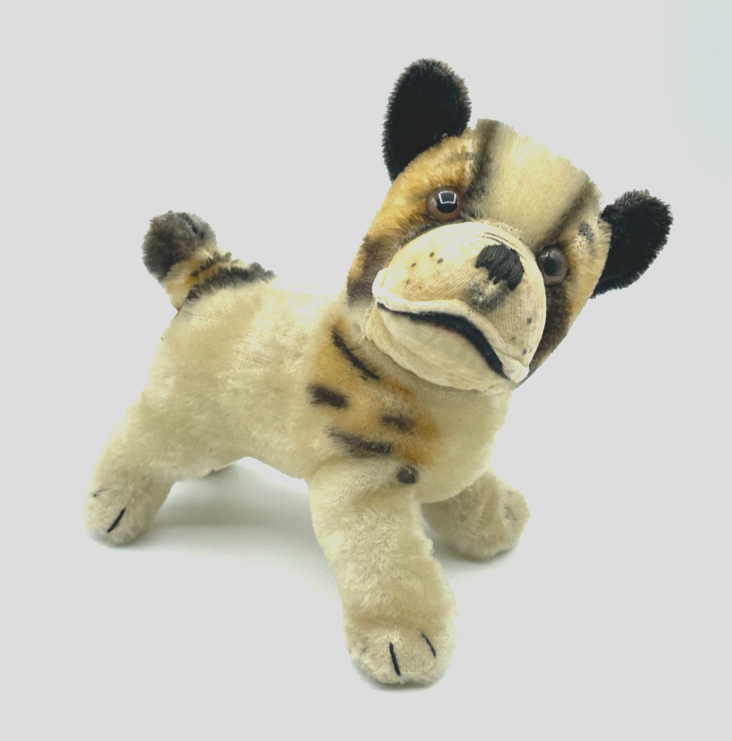 Antik Steifftier Steiff Hund Bully Bulldogge gepflegt H ca. 17 L ca. 15 cm9