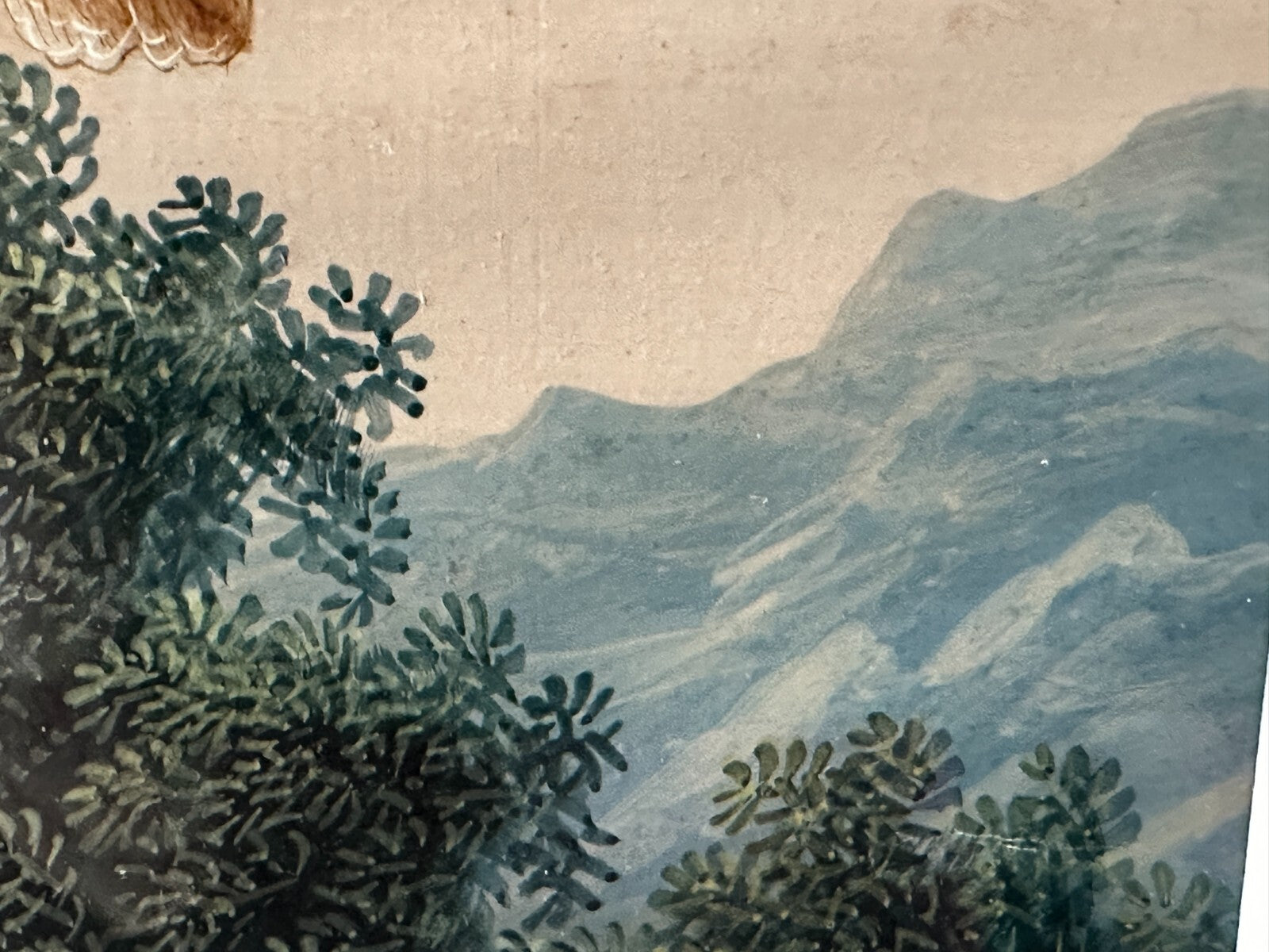 Christoph Ludwig Agricola 1665-1724 - Singvogel auf Ast - Gouache auf Pergament14