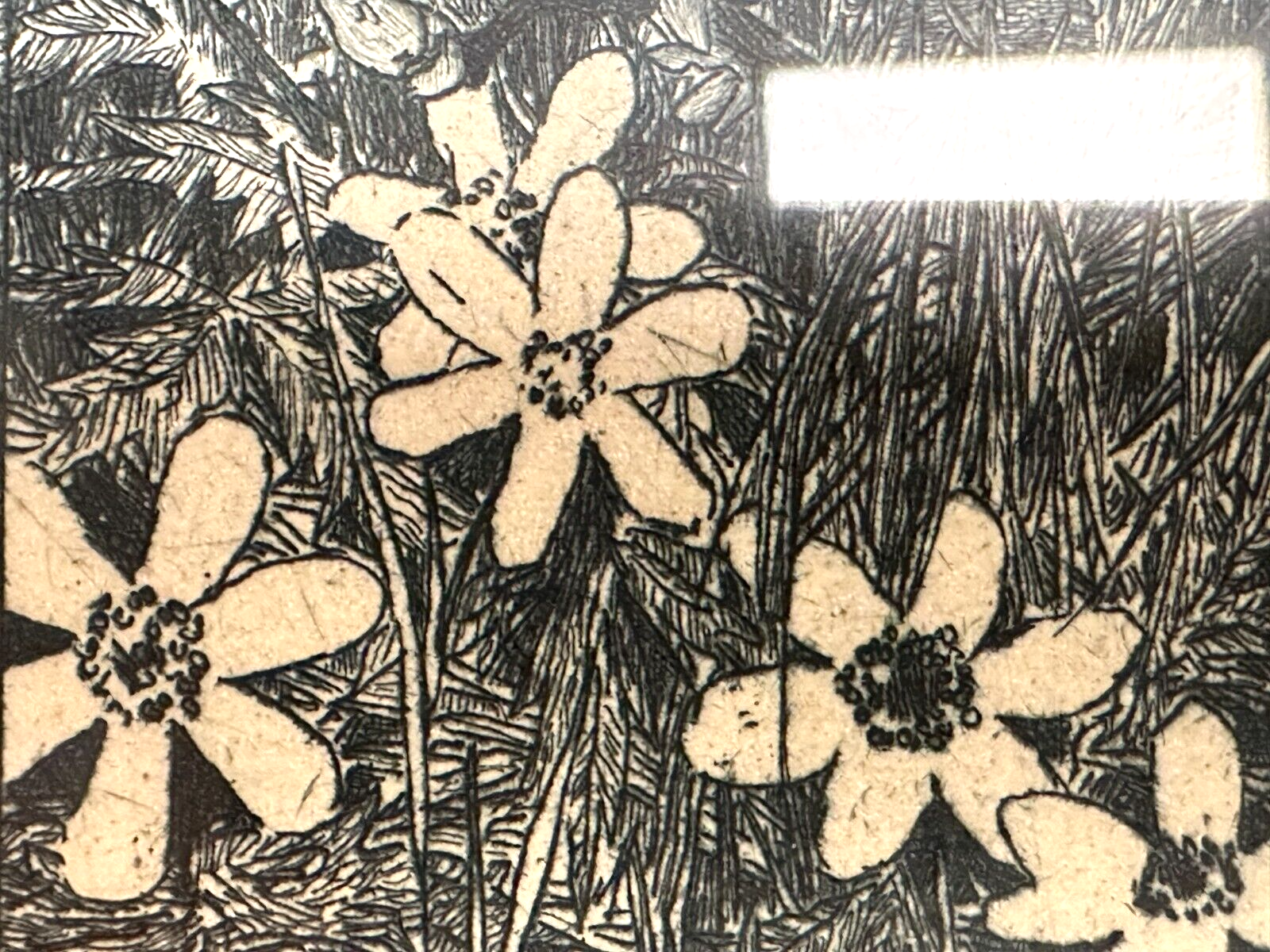 Heinrich Vogeler 1872-1942 - Radierung - Froschbraut - 1899 Jugendstil - gerahmt10