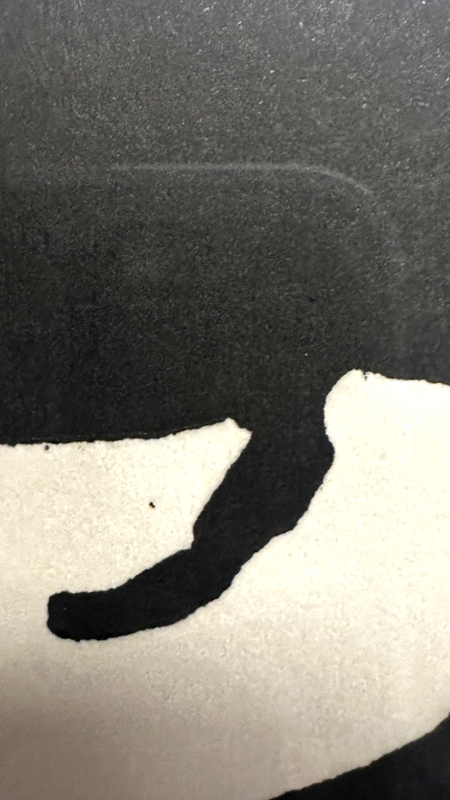 Abi Shek – Linolschnitt - „Delfine/Wale“  - signiert & nummeriert 49/55, gerahmt6