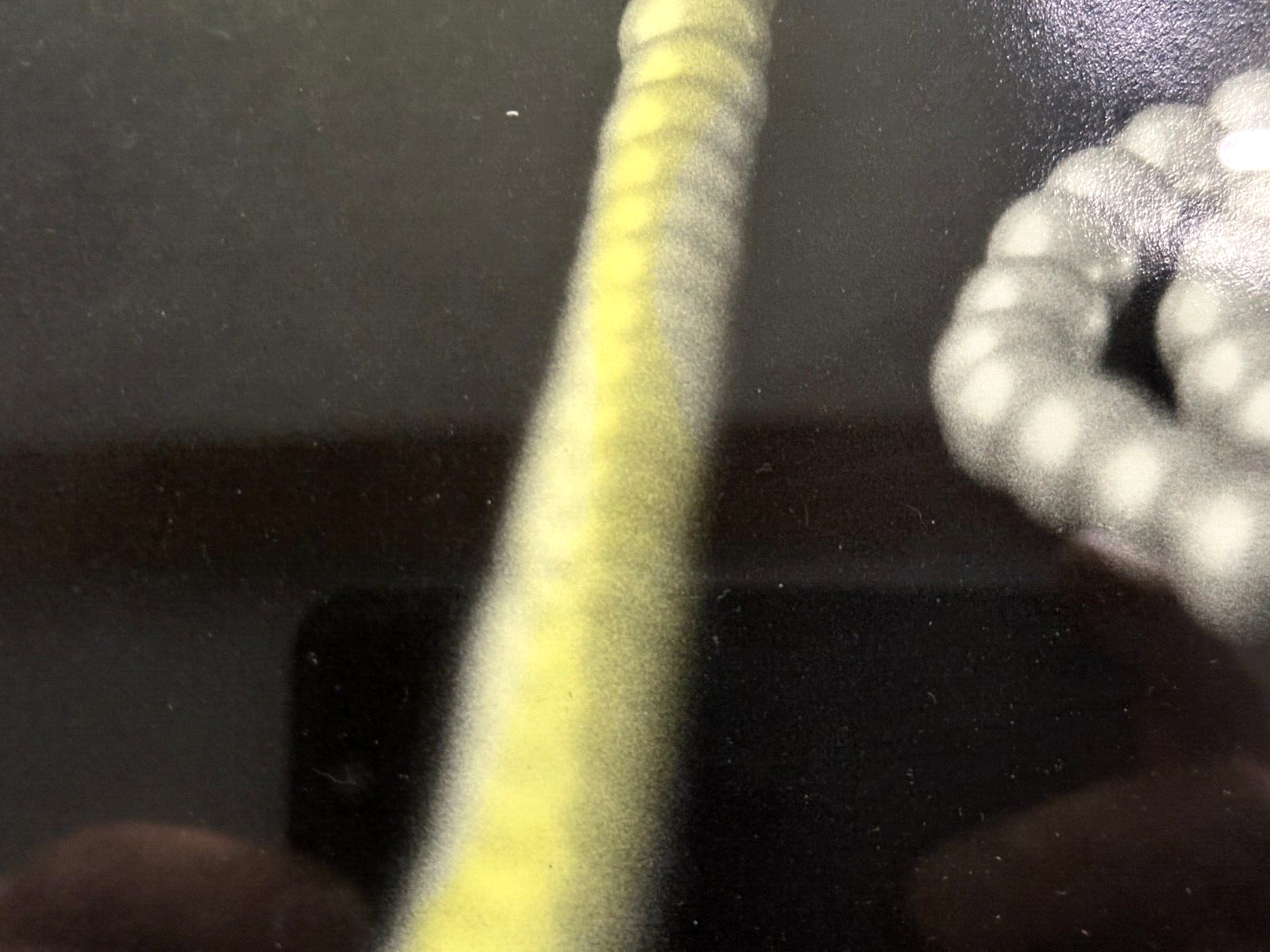 45859100
