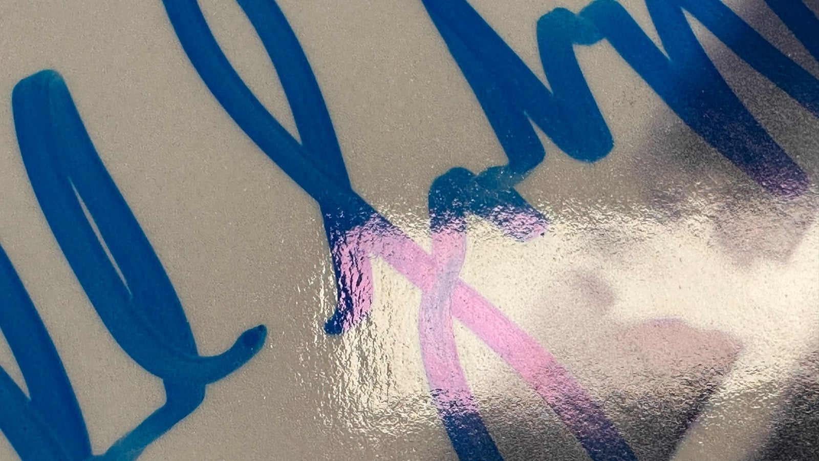 Arnold Schwarzenegger Terminator Autogramm Foto signiert blau Marker COA Aufkleb1