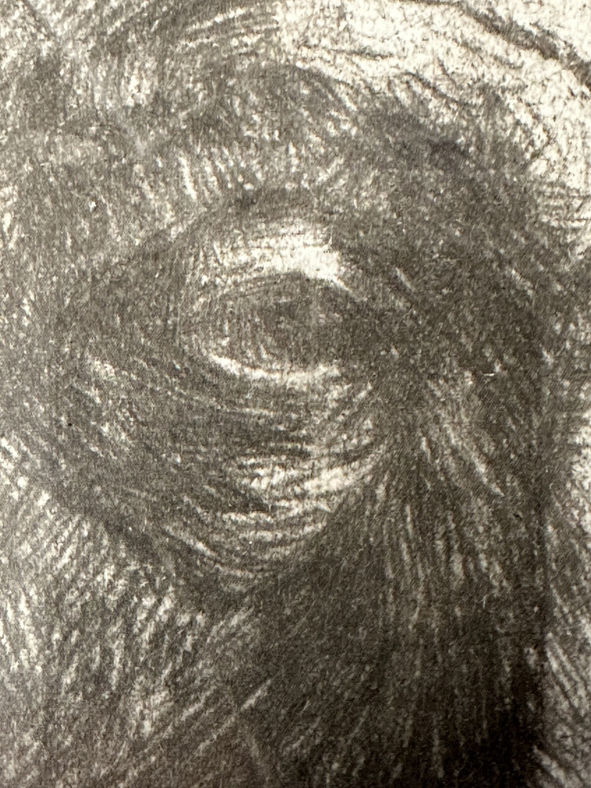 Hermann Struck 1846-1944 - Radierung  'Alter Jude aus Jaffa' - gerahmt Glas3