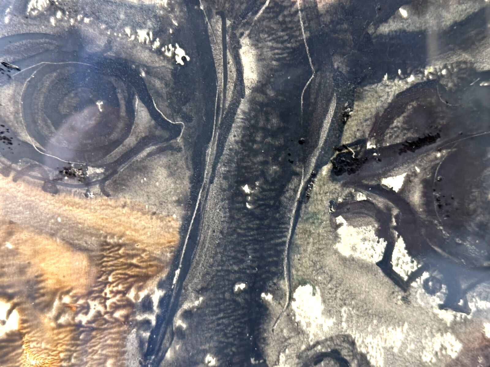 45858156