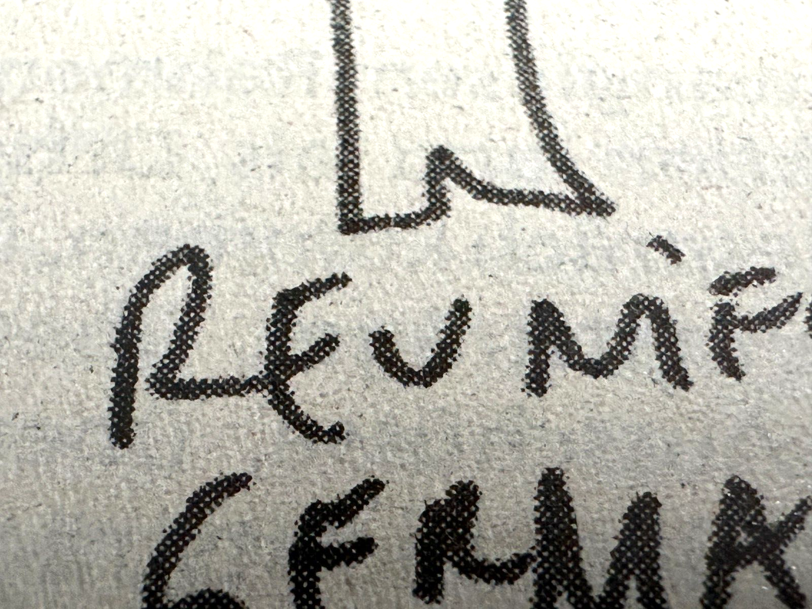 Dan Perjovschi - Print aus dem 'GEPPO'  mit Signatur 2003 - gerahmt hinter Glas6