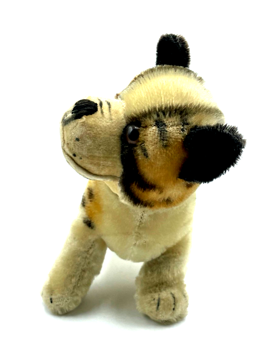 Antik Steifftier Steiff Hund Bully Bulldogge gepflegt H ca. 17 L ca. 15 cm4