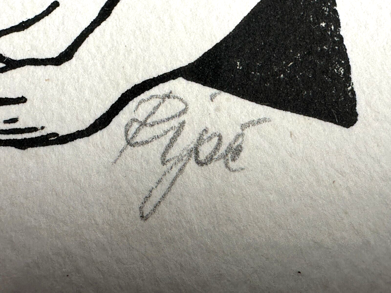 45858077