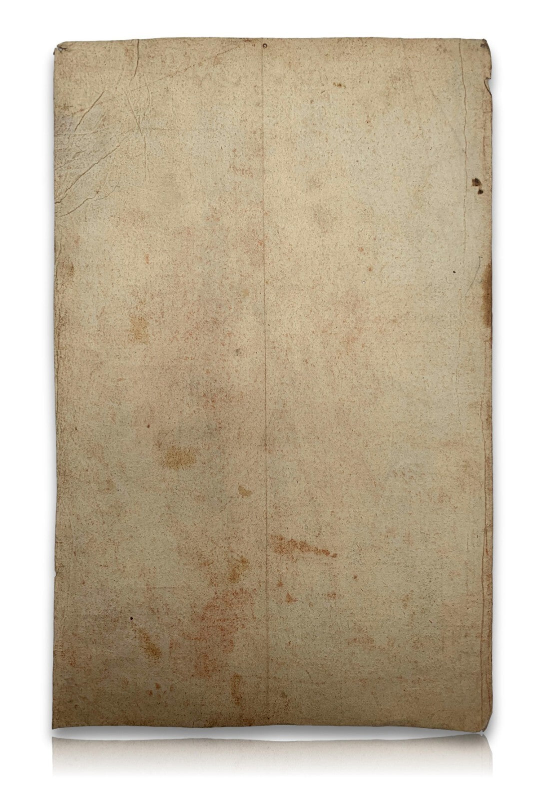 Rötelzeichnung um 1815 - Sibille Delphiqve Gilles Rousselet - Büttenpapier 6