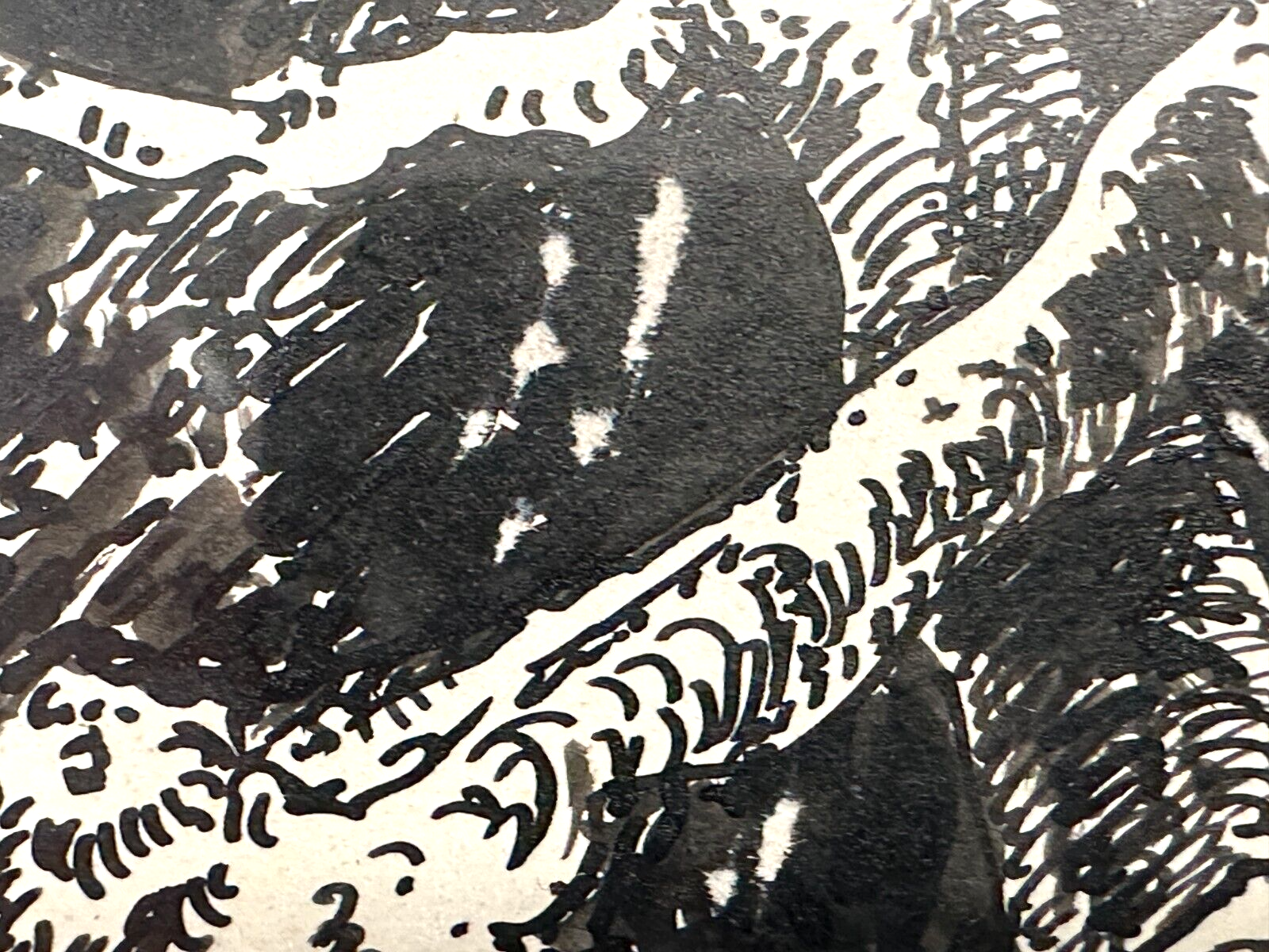 Paul Groß 1873-1942 - Indian ink. Tinte auf Papier - Saaletal 1930 - gerahmt sig3