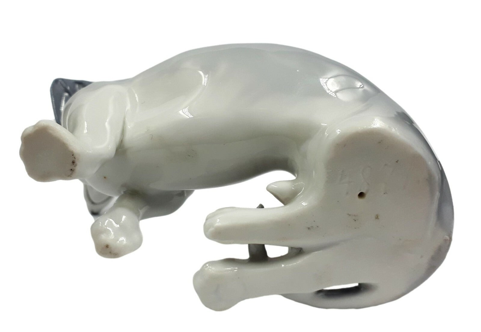 Fritz Pfeffer Gotha - Porzellan Figur - Polychrome Glasur - Hund Dackel sitzend4