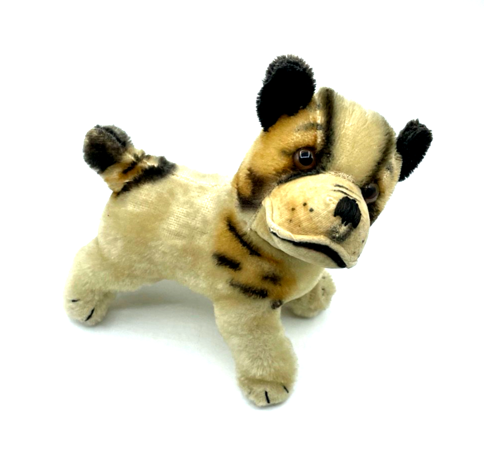 Antik Steifftier Steiff Hund Bully Bulldogge gepflegt H ca. 17 L ca. 15 cm1