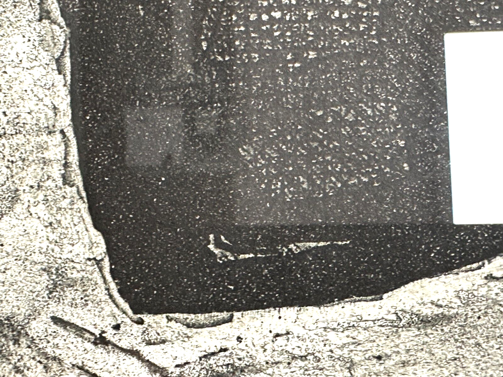 Michael Morgner - Radierung Aquatinta - 'Kleine Fichte' 1989 - Sign. -5