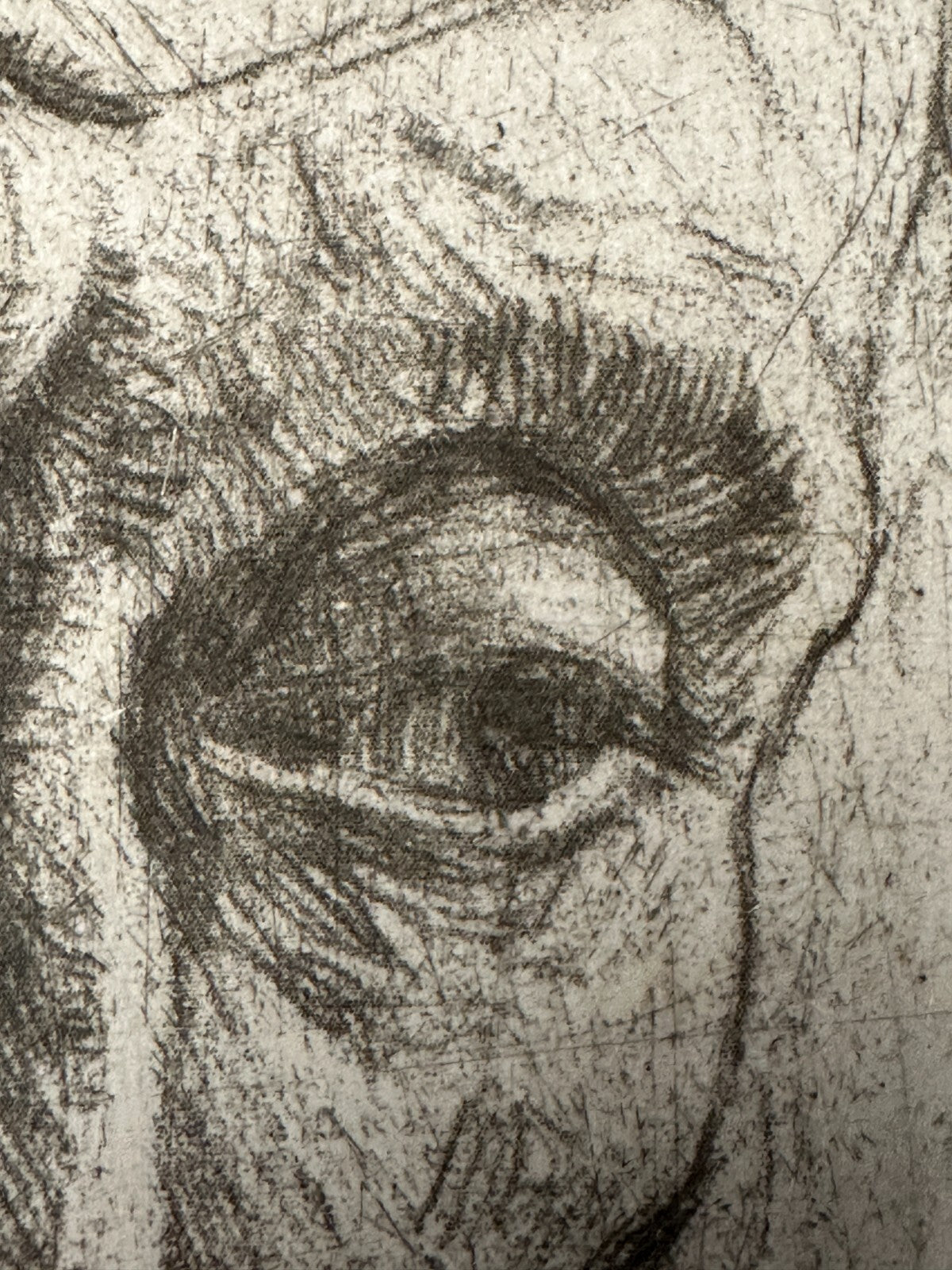 45858112