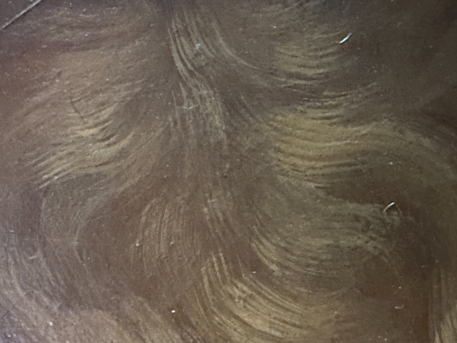 Engel mit Laute nach Rosso Fiorentino (1494-1540) – Öl auf Leinwand - 19. Jh.8