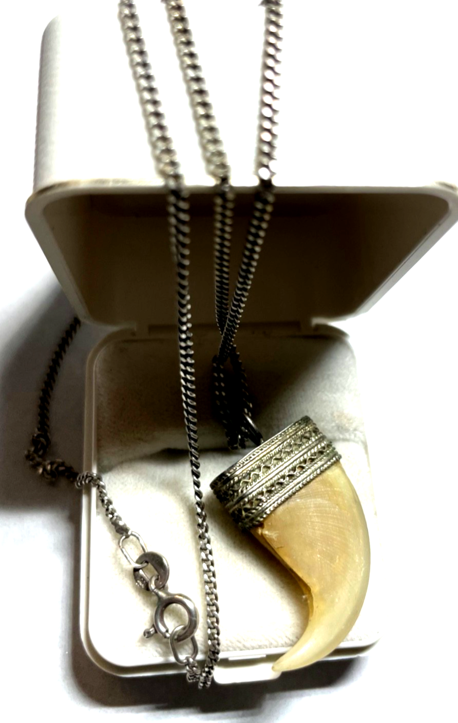 Vintage Raubvogel Kralle Tierkralle Talisman an 835 Silber Panzerkette unisex0