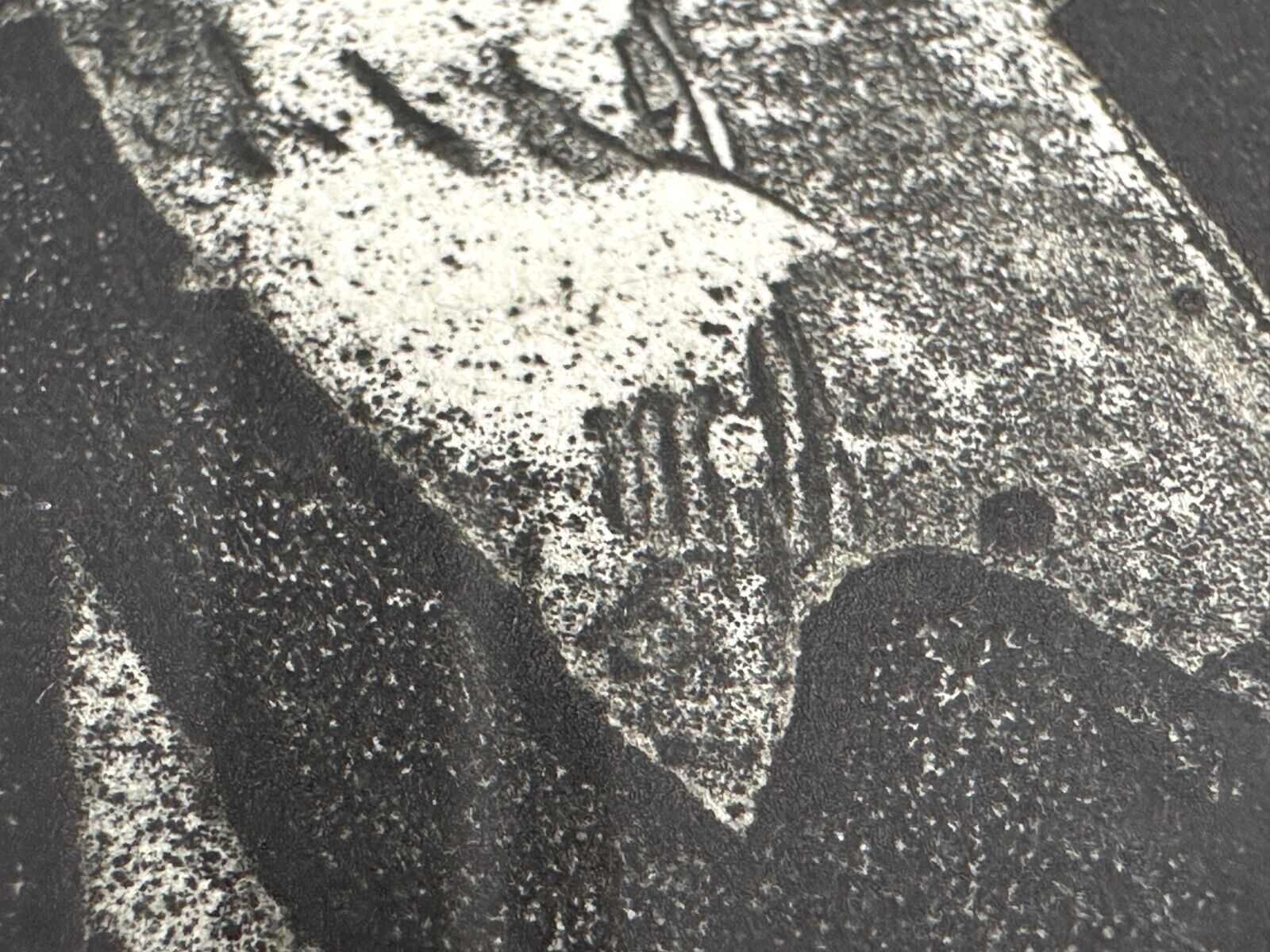 Michael Morgner - Radierung Aquatinta - 'Kleine Fichte' 1989 - Sign. -12