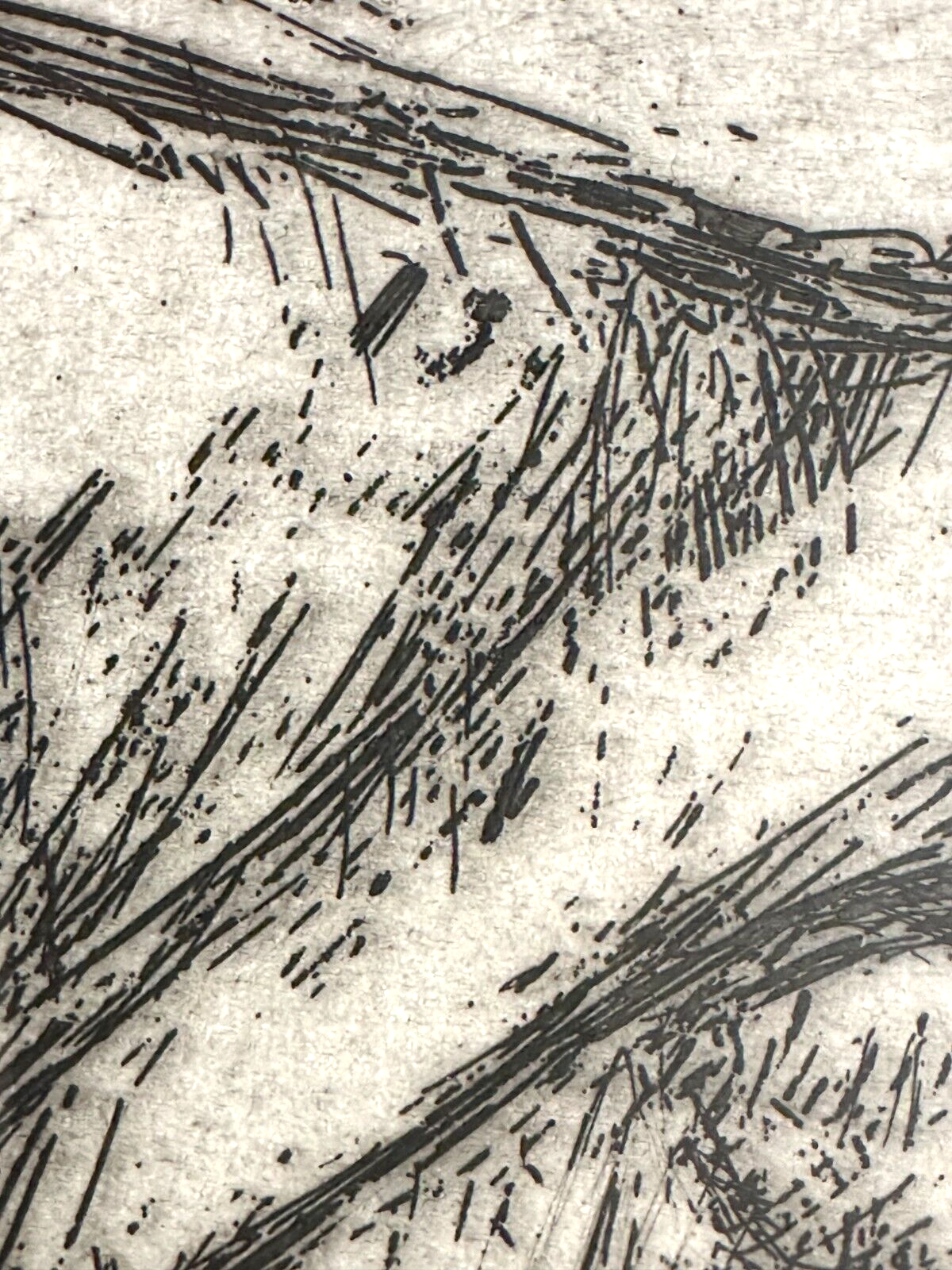 Emil Cimiotti - Radierung - Untitled - gerahmt hinter Glas - signiert nummeriert4